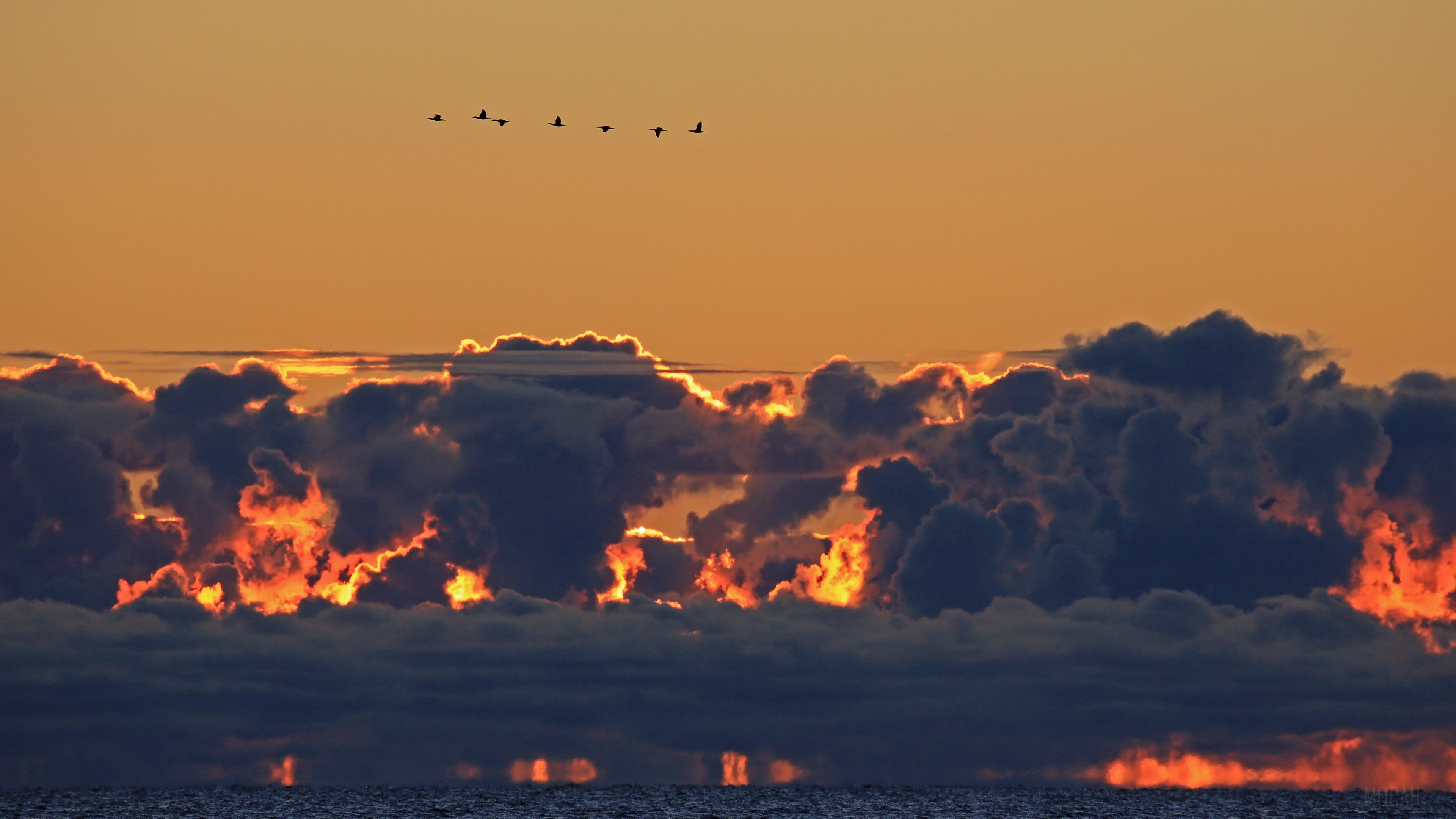 Birds flying over ocean at sunset with clouds 4K HD Wallpaper