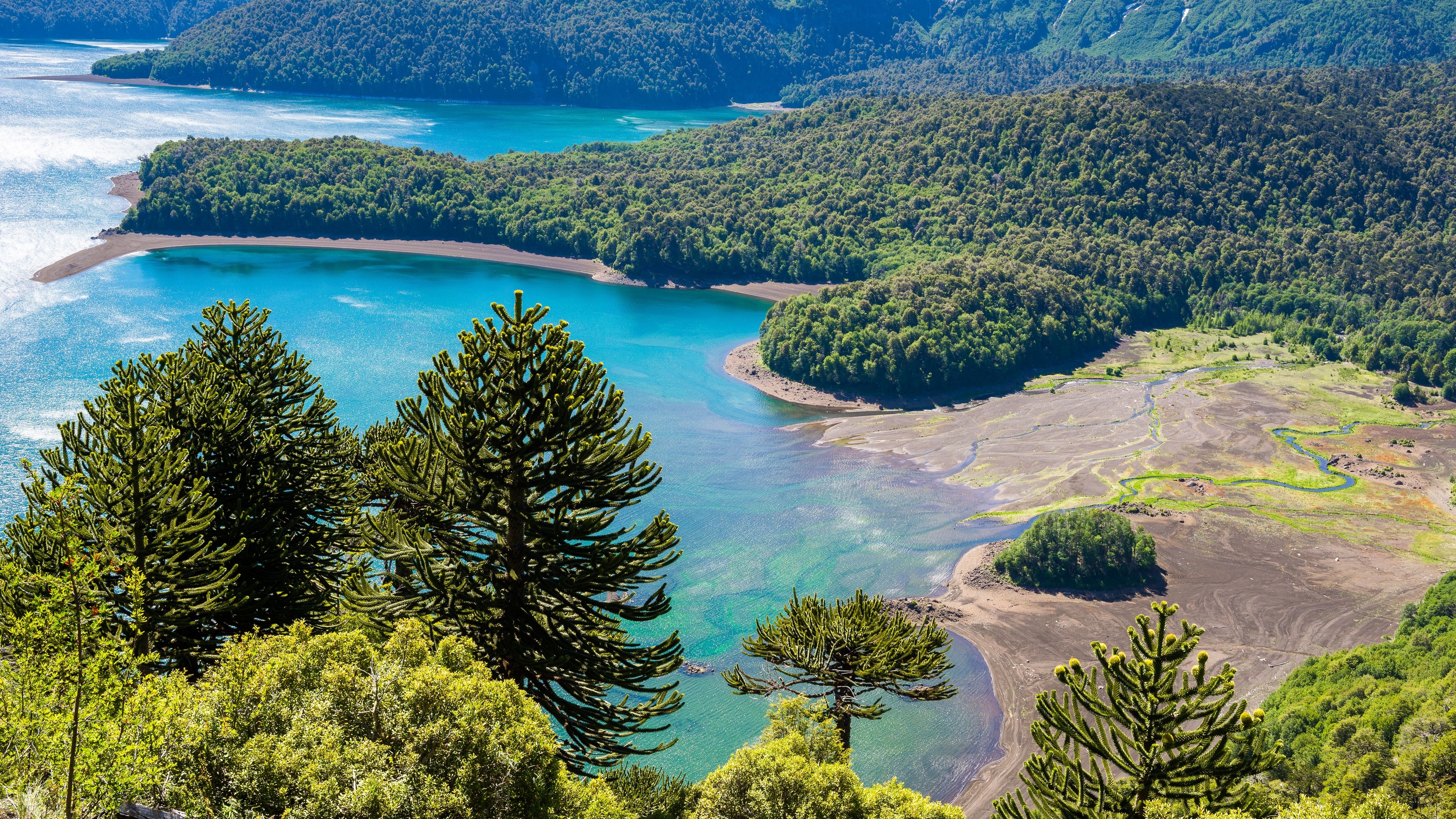 Serene Forest Lake Landscape in 4K HD Wallpaper