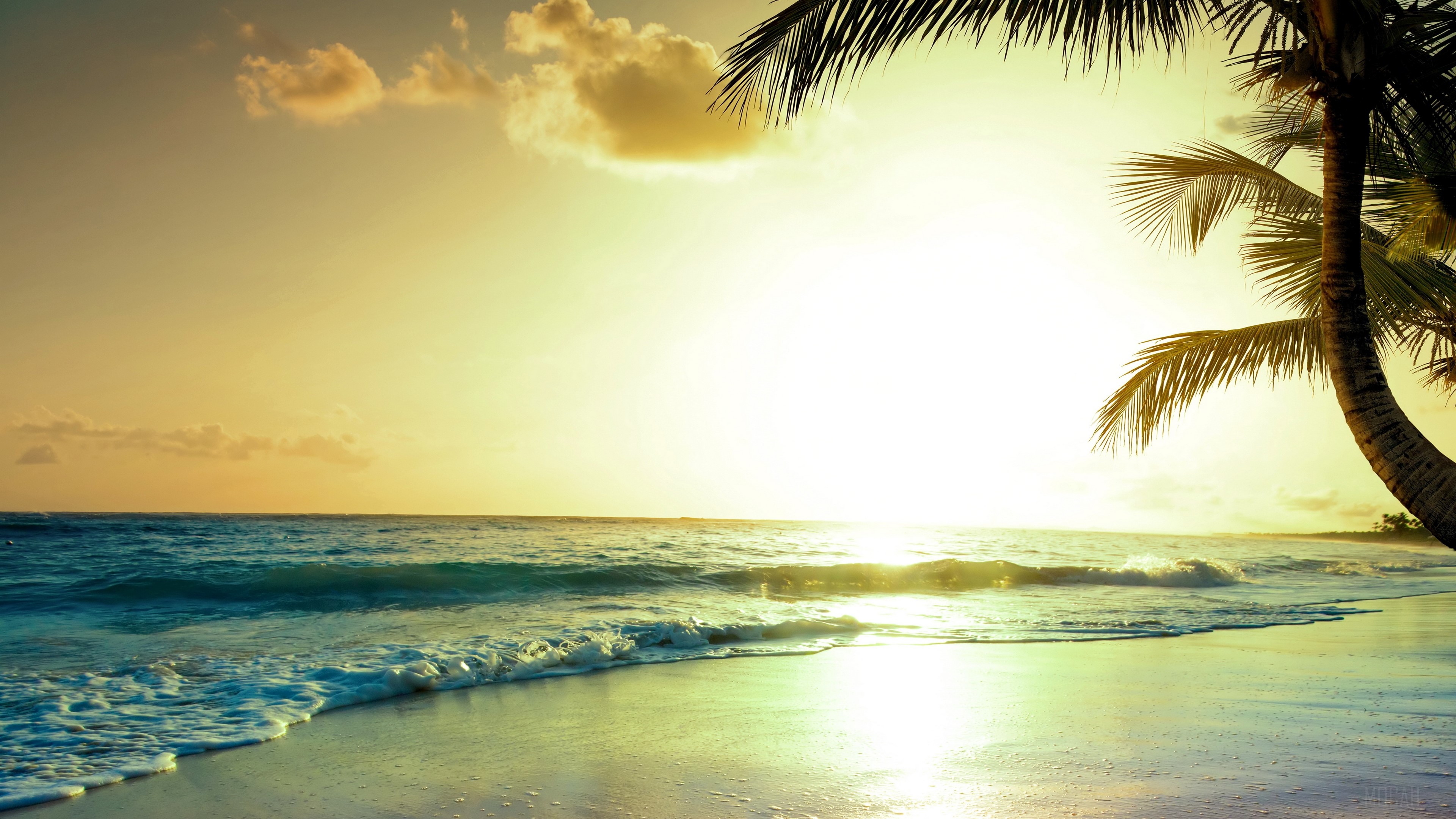 Sunset over Tropical Beach with Palm Trees 4K HD Wallpaper