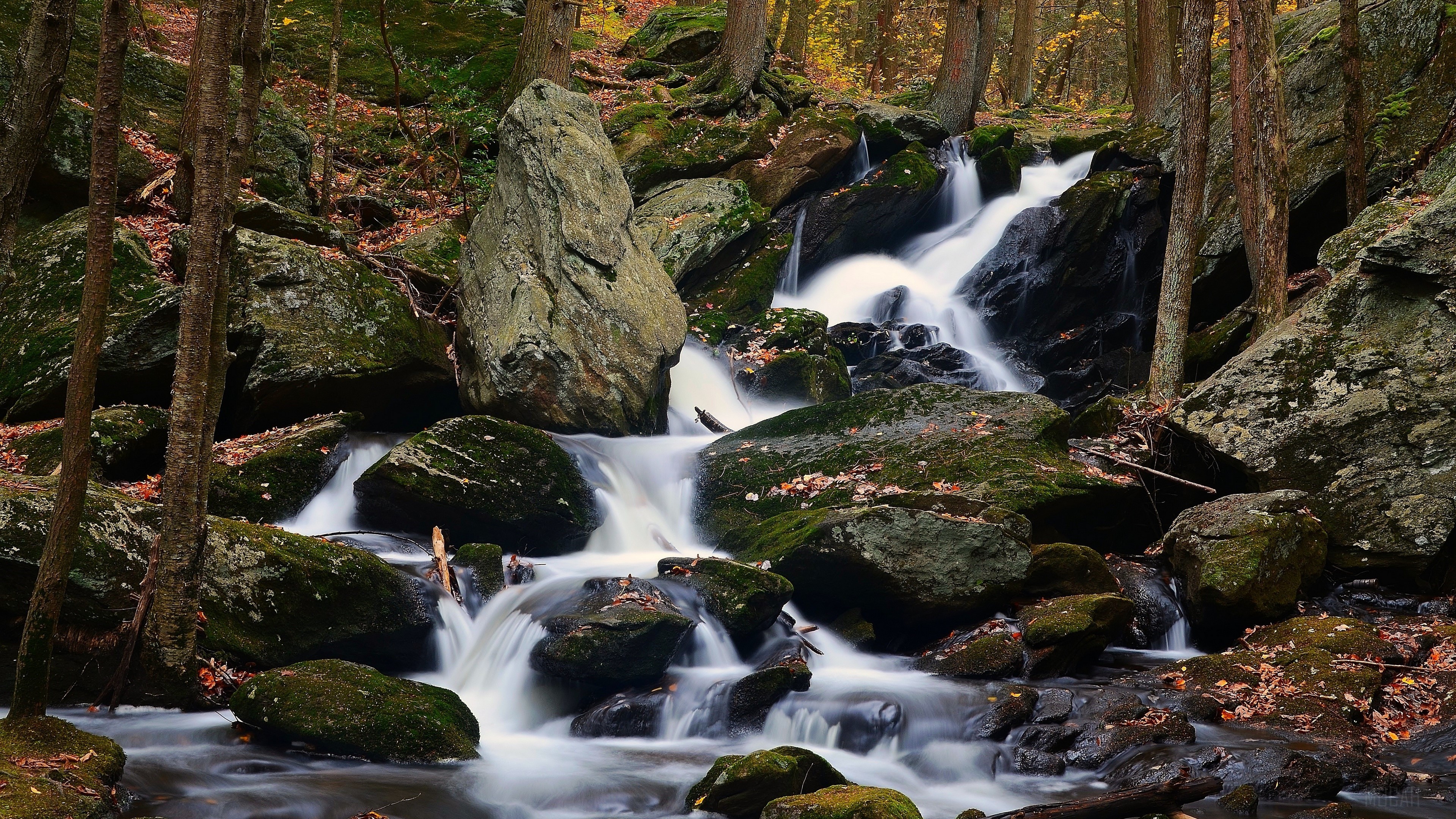 Waterfall in a Forest with Rocks and Fall Foliage 4K HD Wallpaper