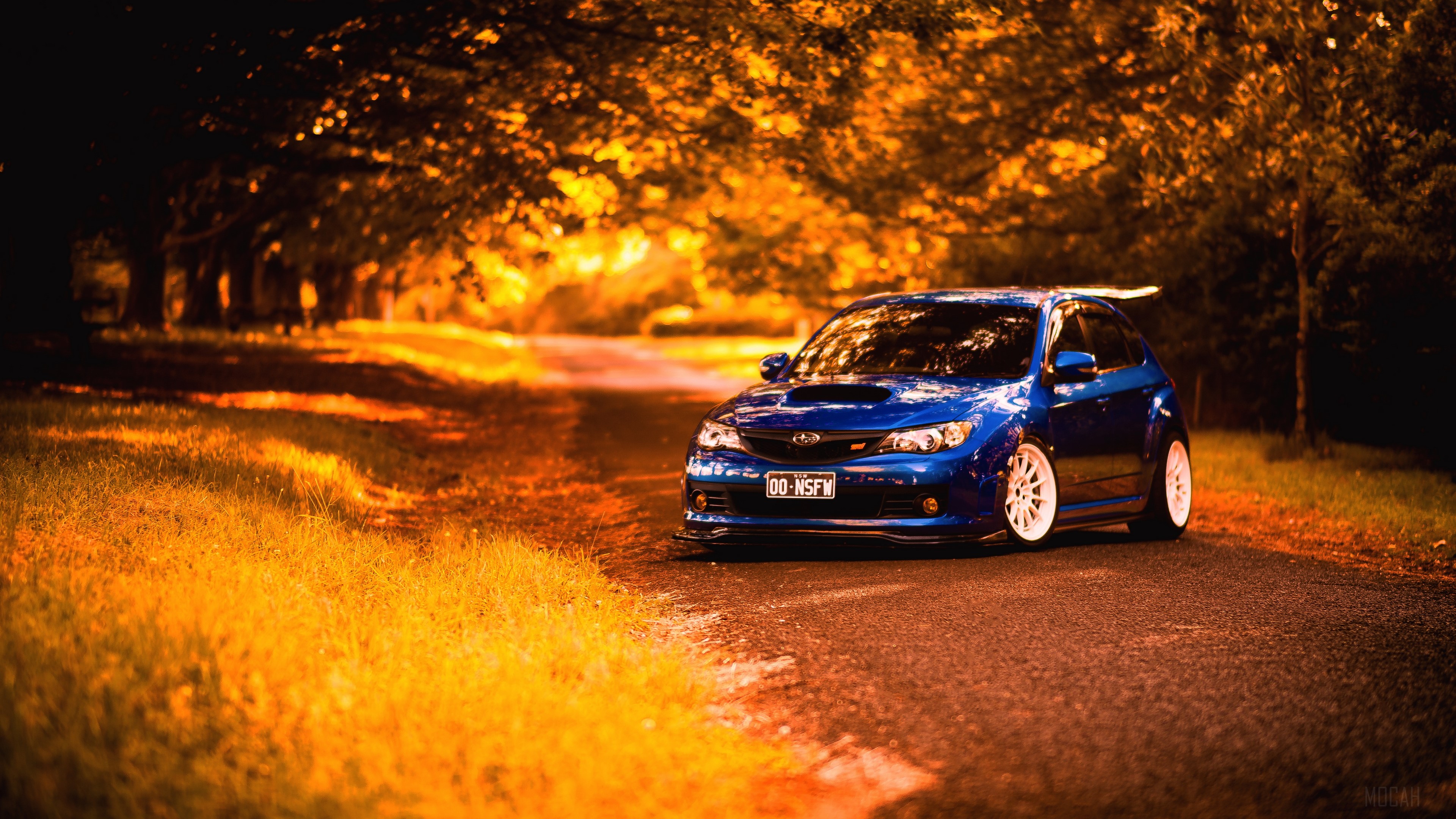 Blue Subaru Impreza WRX STI on a Tree-Lined Road HD Wallpaper