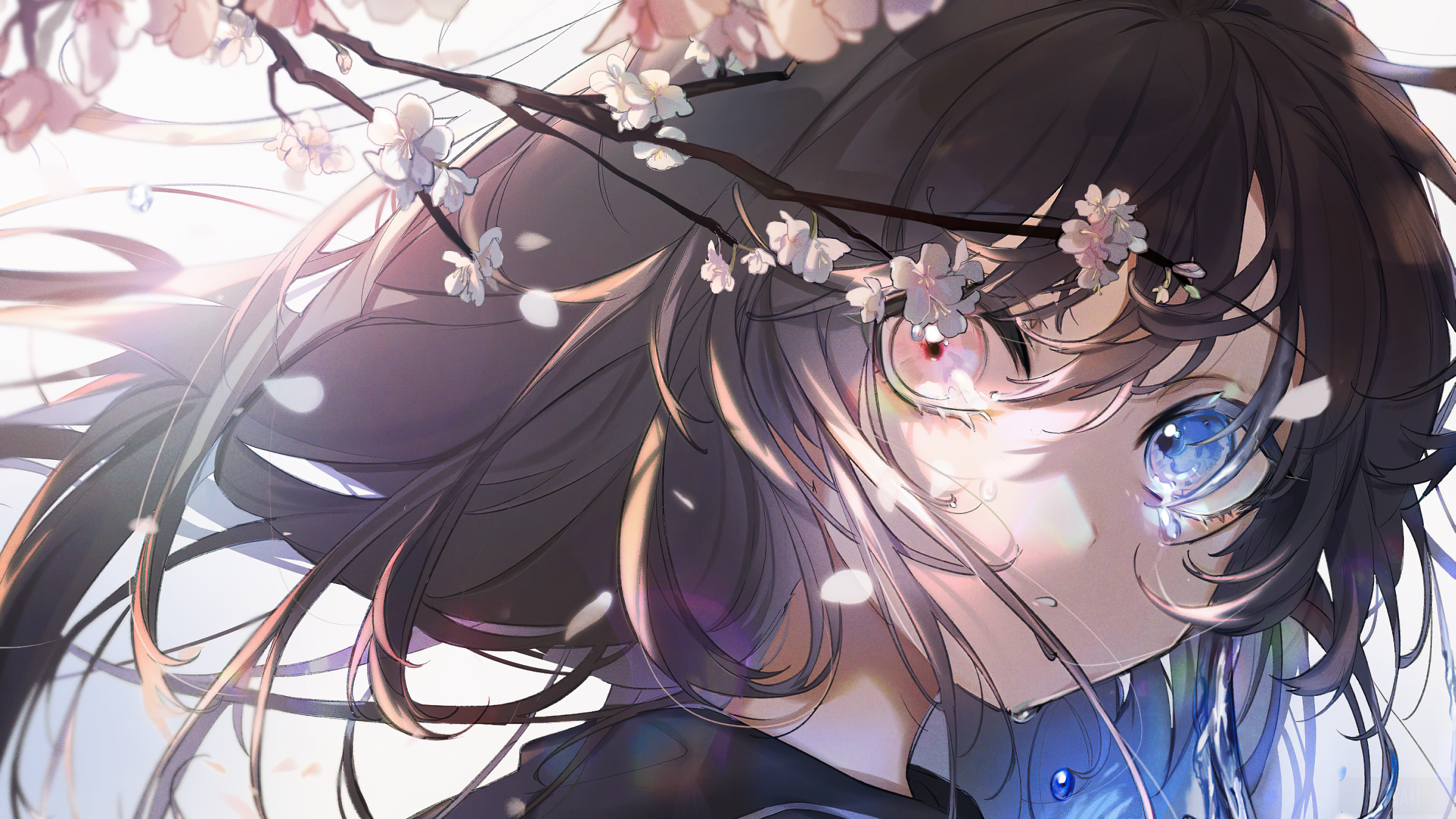 Girl with Cherry Blossoms and Heterochromia 4K HD Wallpaper