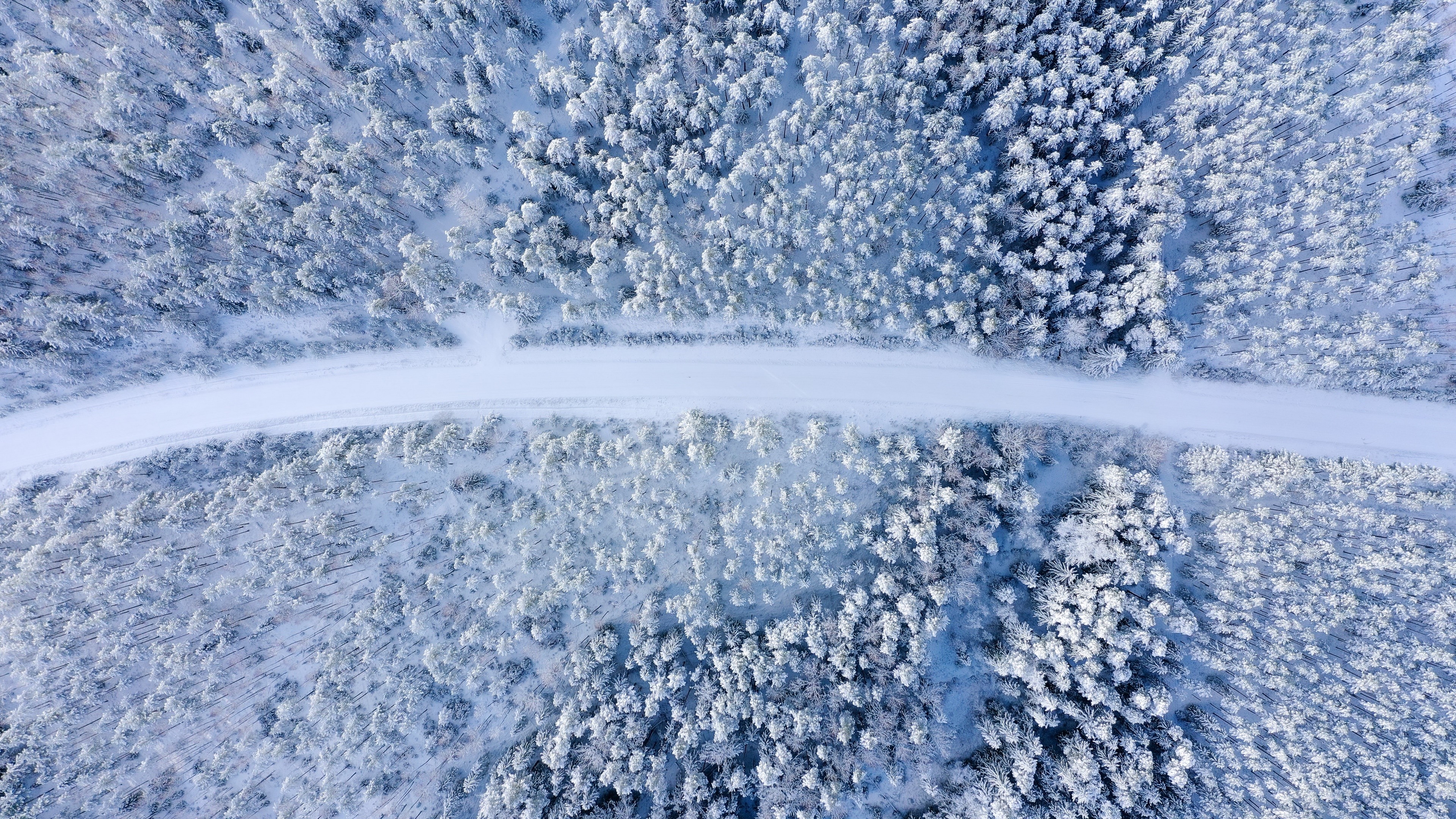 Aerial view of a snow-covered forest with a road HD Wallpaper