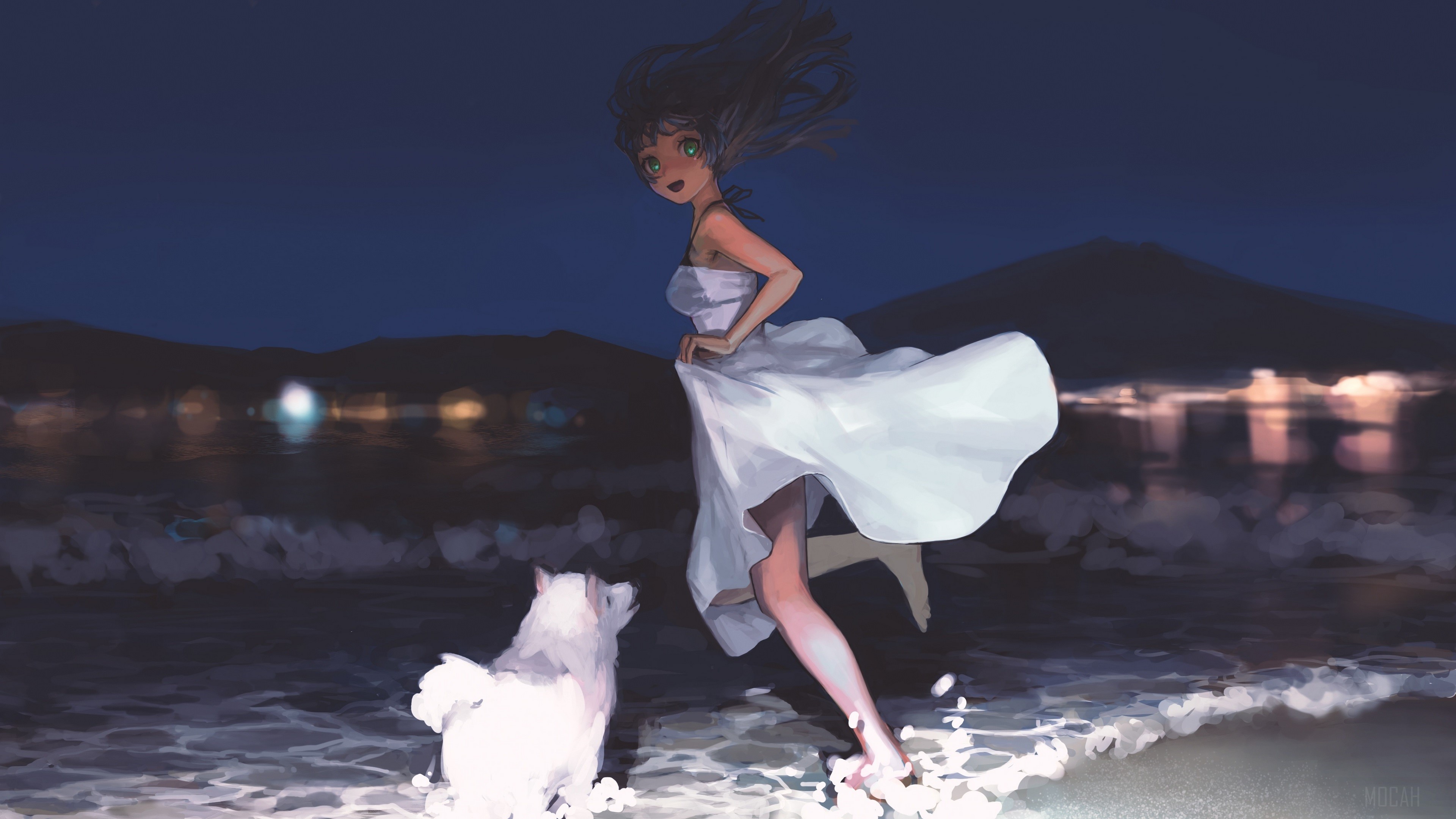 Girl in white dress with dog on beach at night HD Wallpaper
