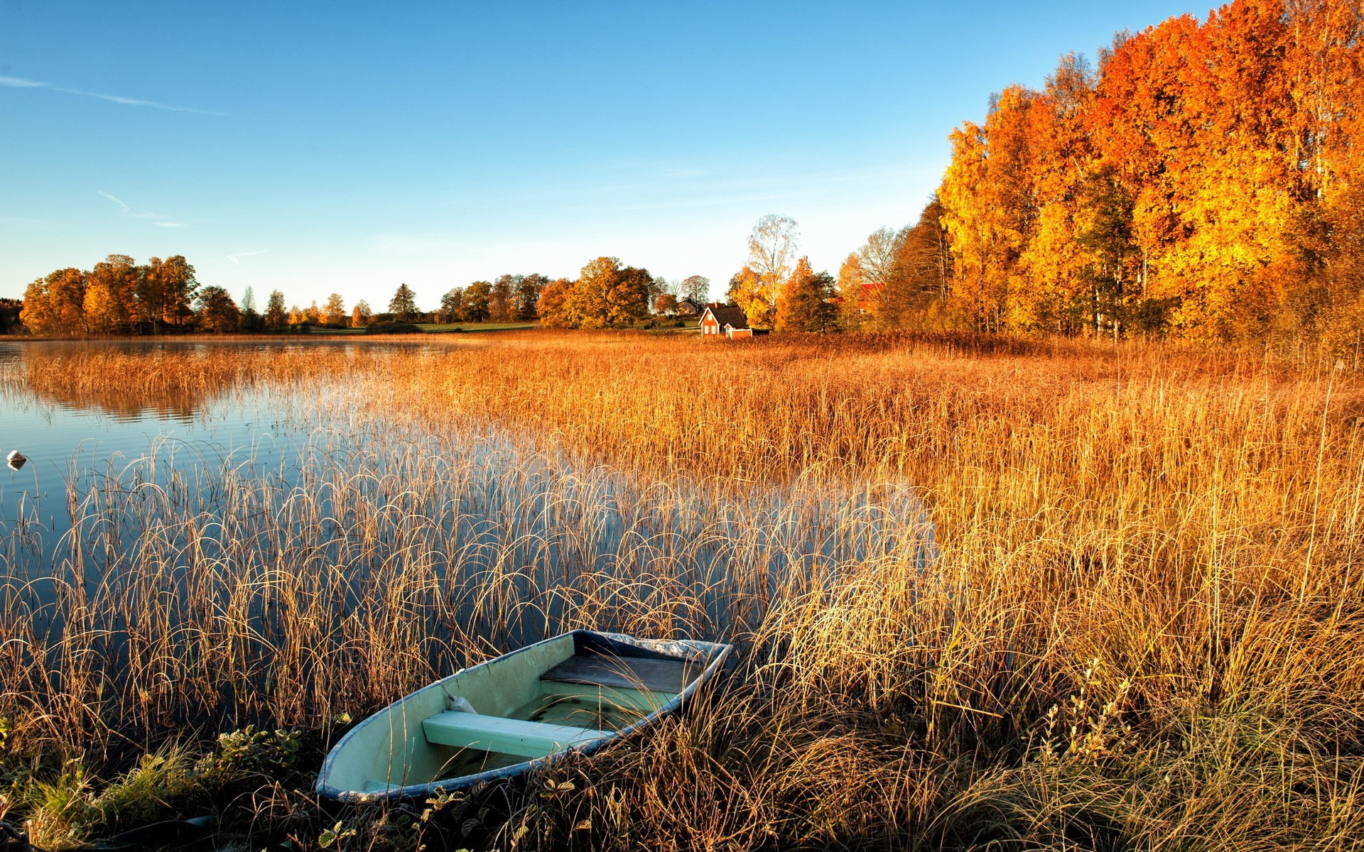 Boat on a lake with autumn trees HD Wallpaper