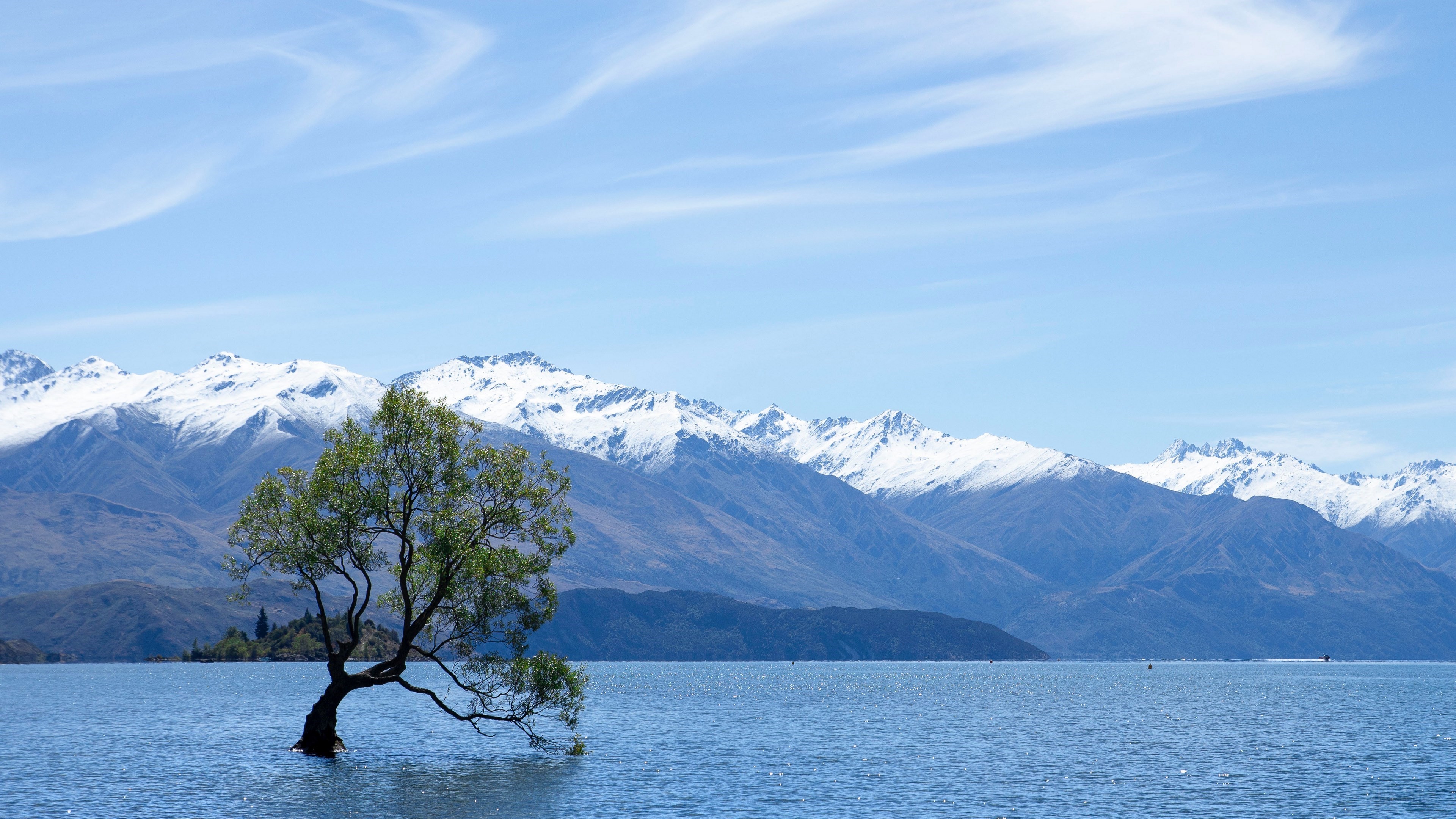 Tree in Lake Wanaka with Snow-Capped Mountains HD Wallpaper