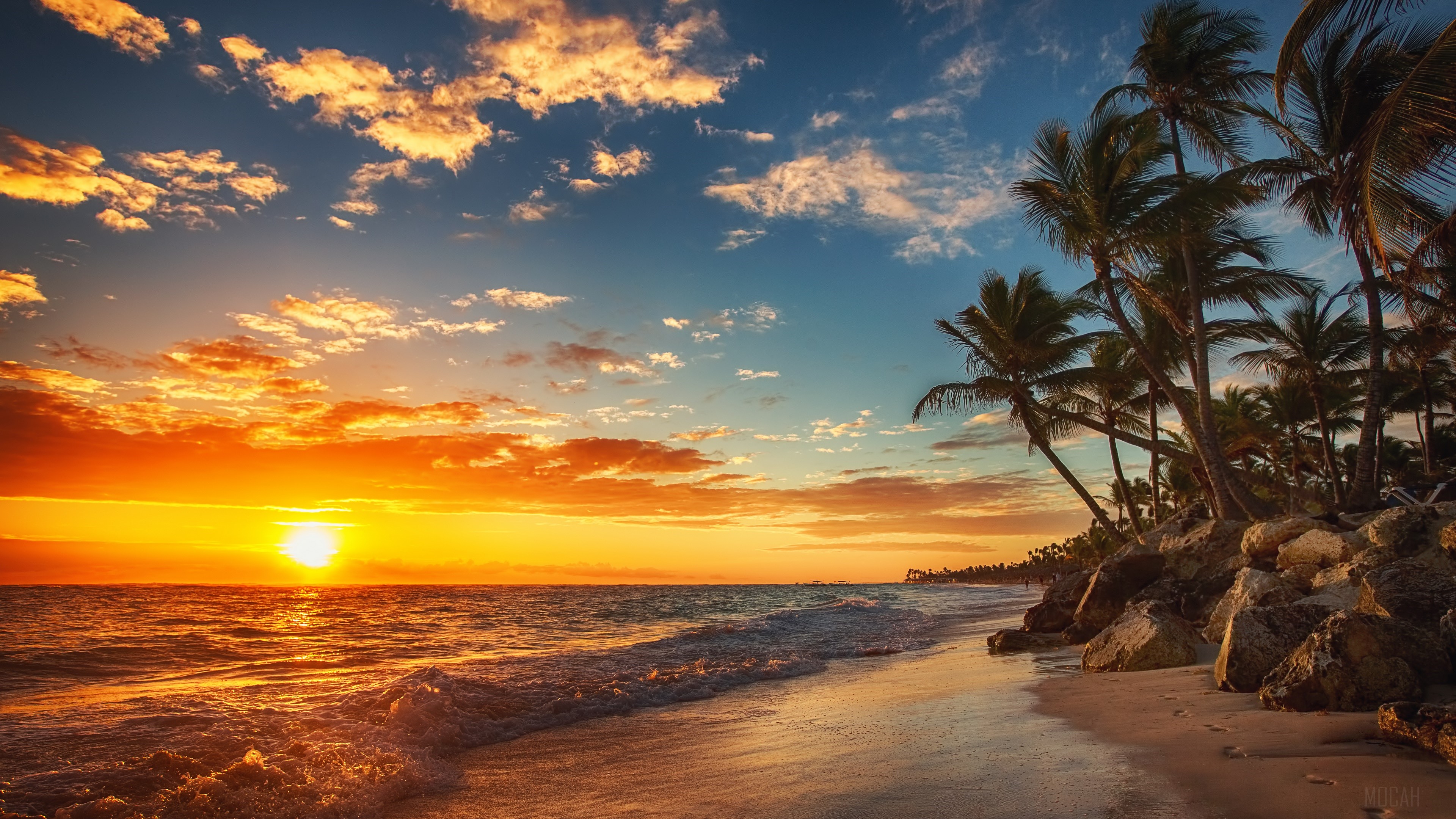 Sunset over a tropical beach with palm trees HD Wallpaper