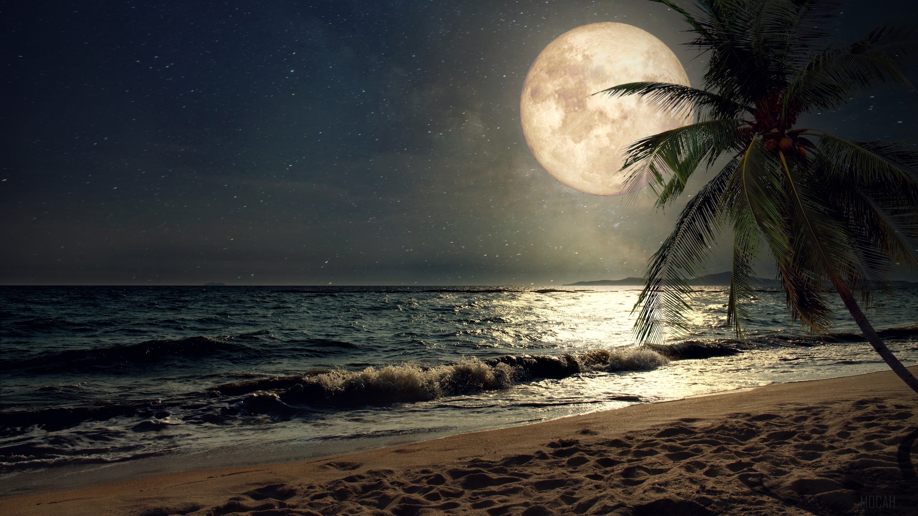Full Moon over a Tropical Beach at Night HD Wallpaper