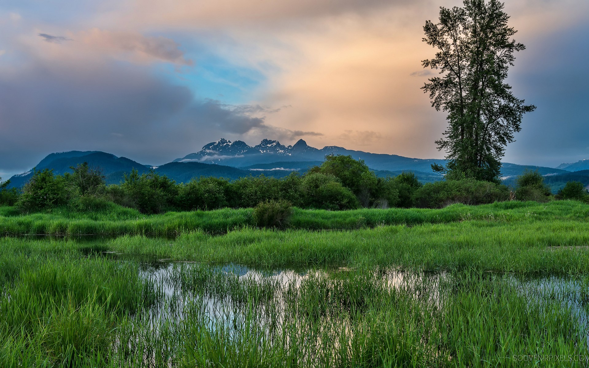 Mountain range and grassy marsh at sunset HD Wallpaper