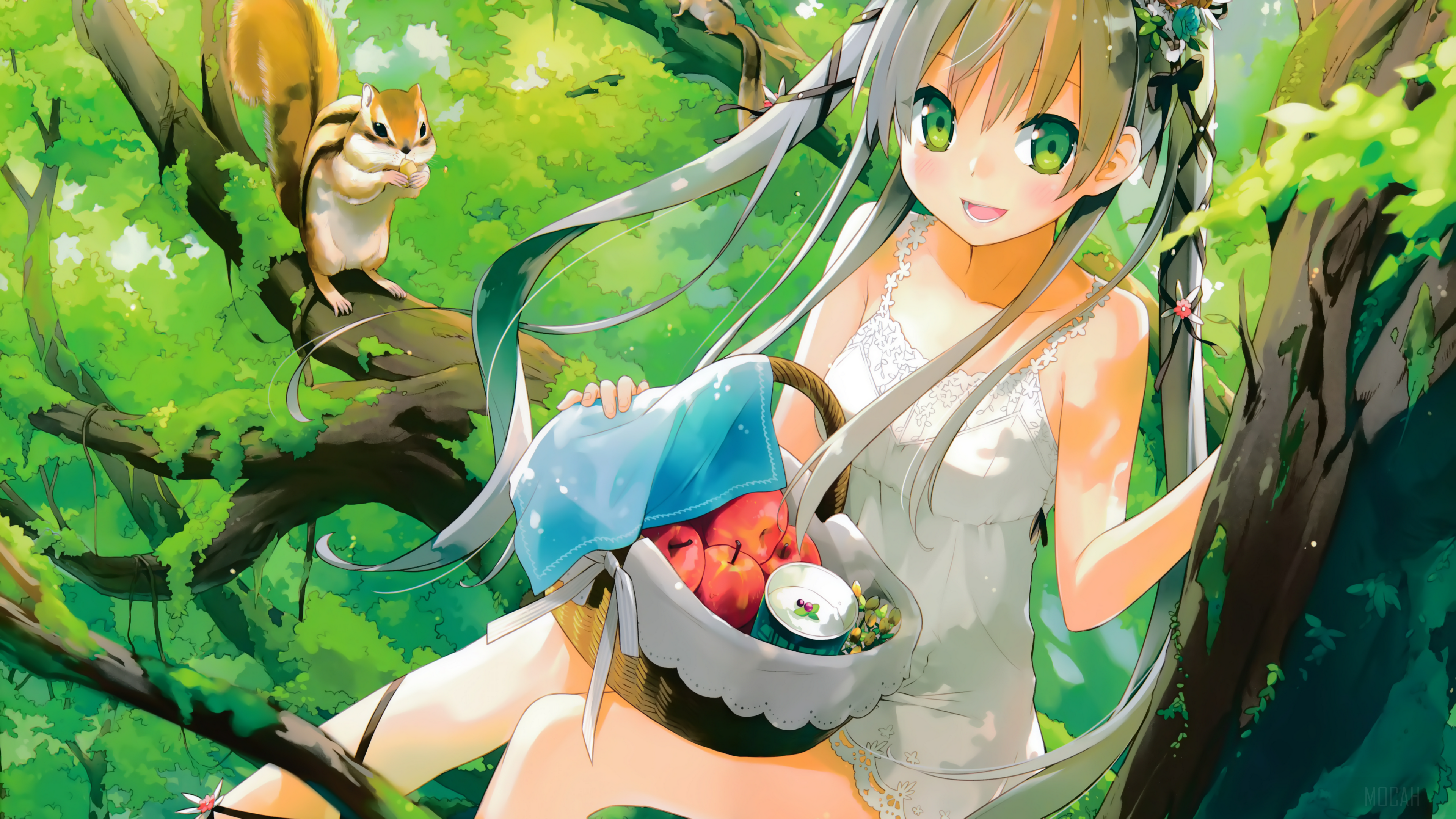 Anime girl with basket and squirrel in forest HD Wallpaper