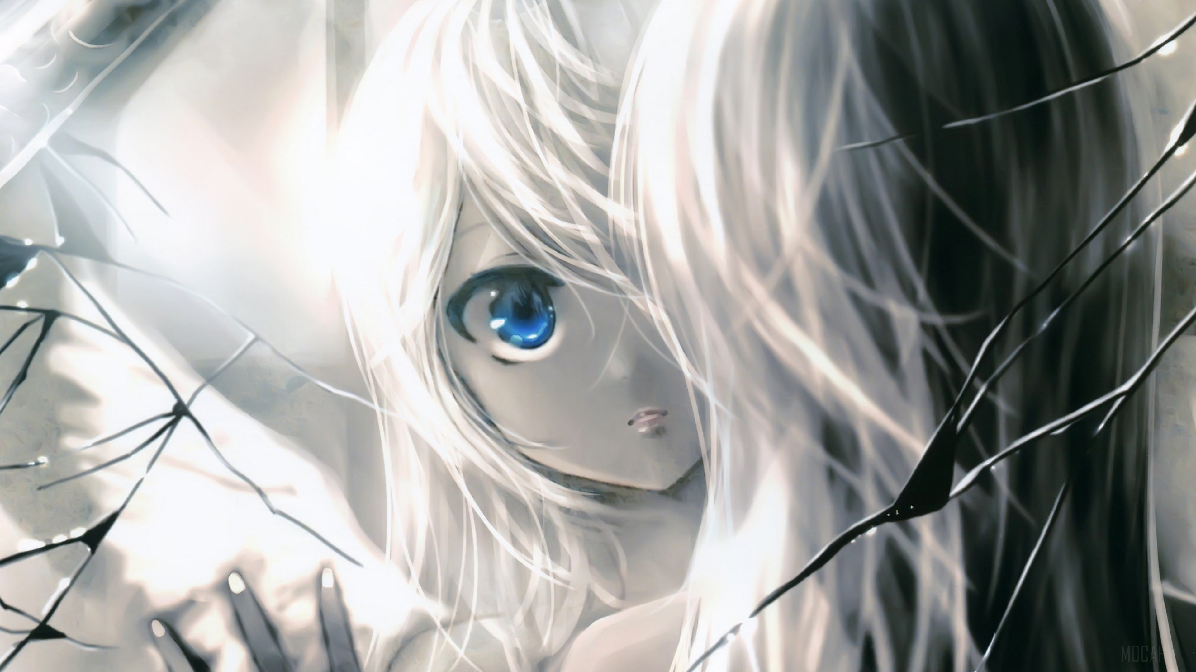 Girl with Blue Eyes and Grey Hair in Mirror 4K HD Wallpaper