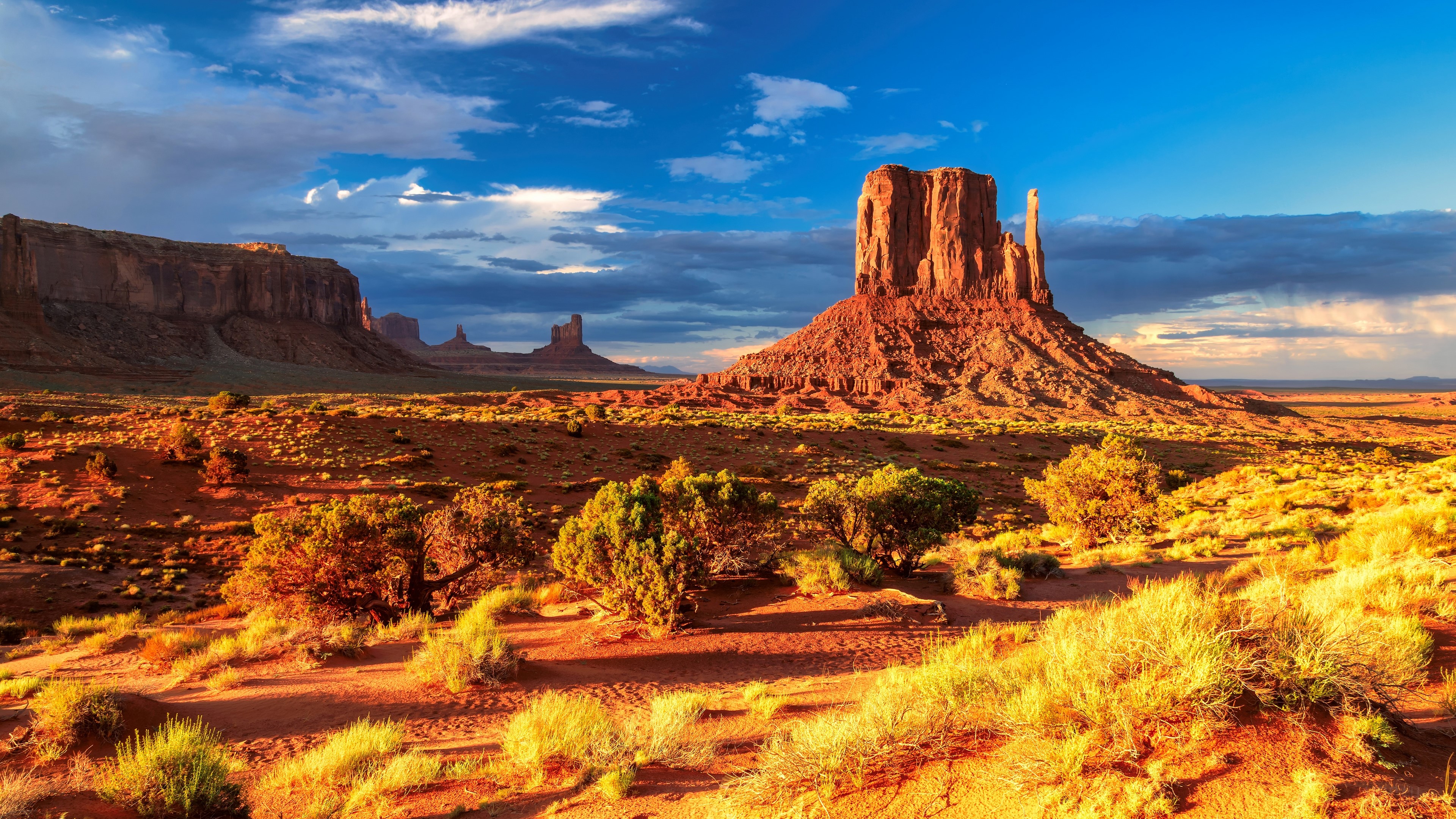 Monument Valley landscape with rock formations and desert plants HD Wallpaper
