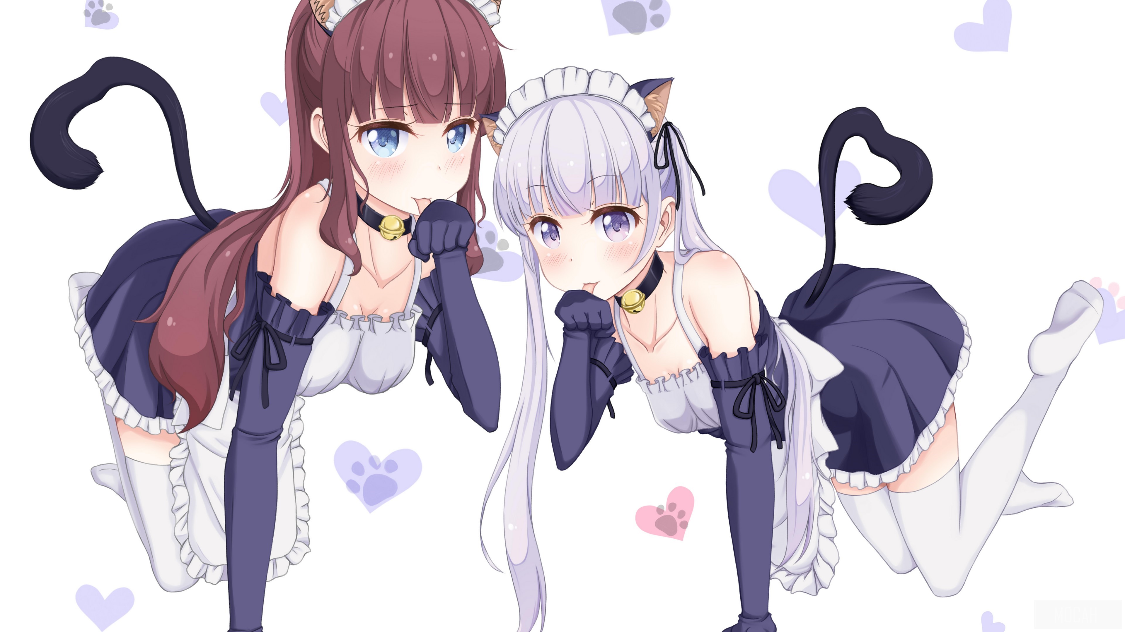 Two anime girls in maid outfits with cat ears HD Wallpaper