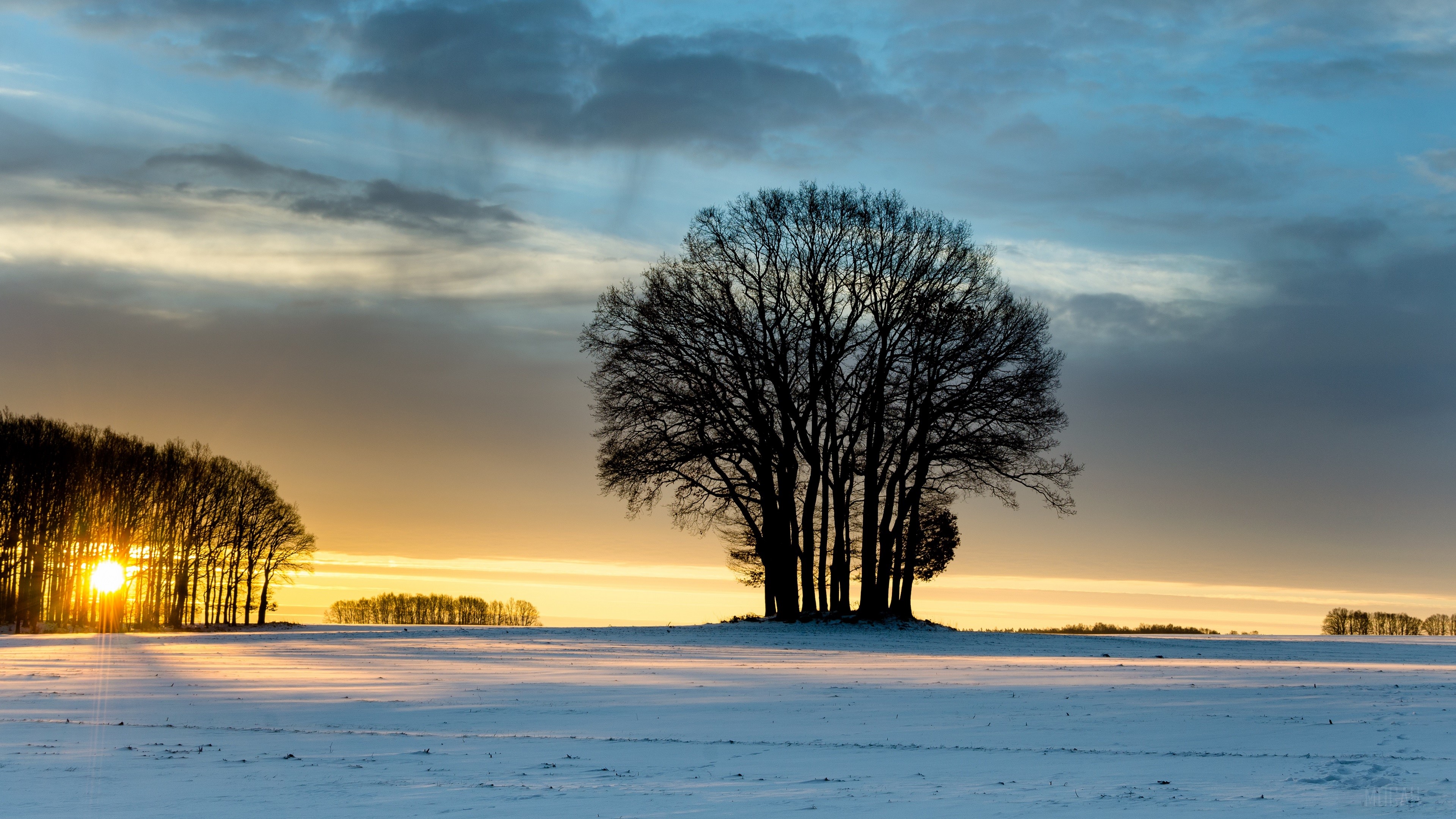 Winter sunset over a snowy field with trees HD Wallpaper