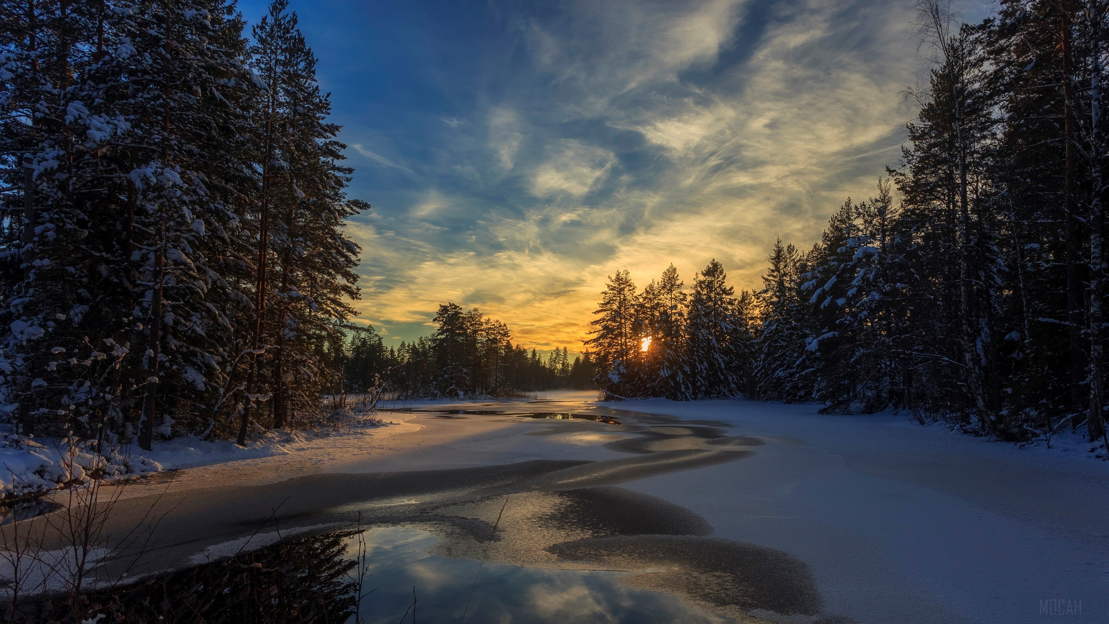 Winter Sunset over Snowy Forest and Frozen Lake 4K HD Wallpaper