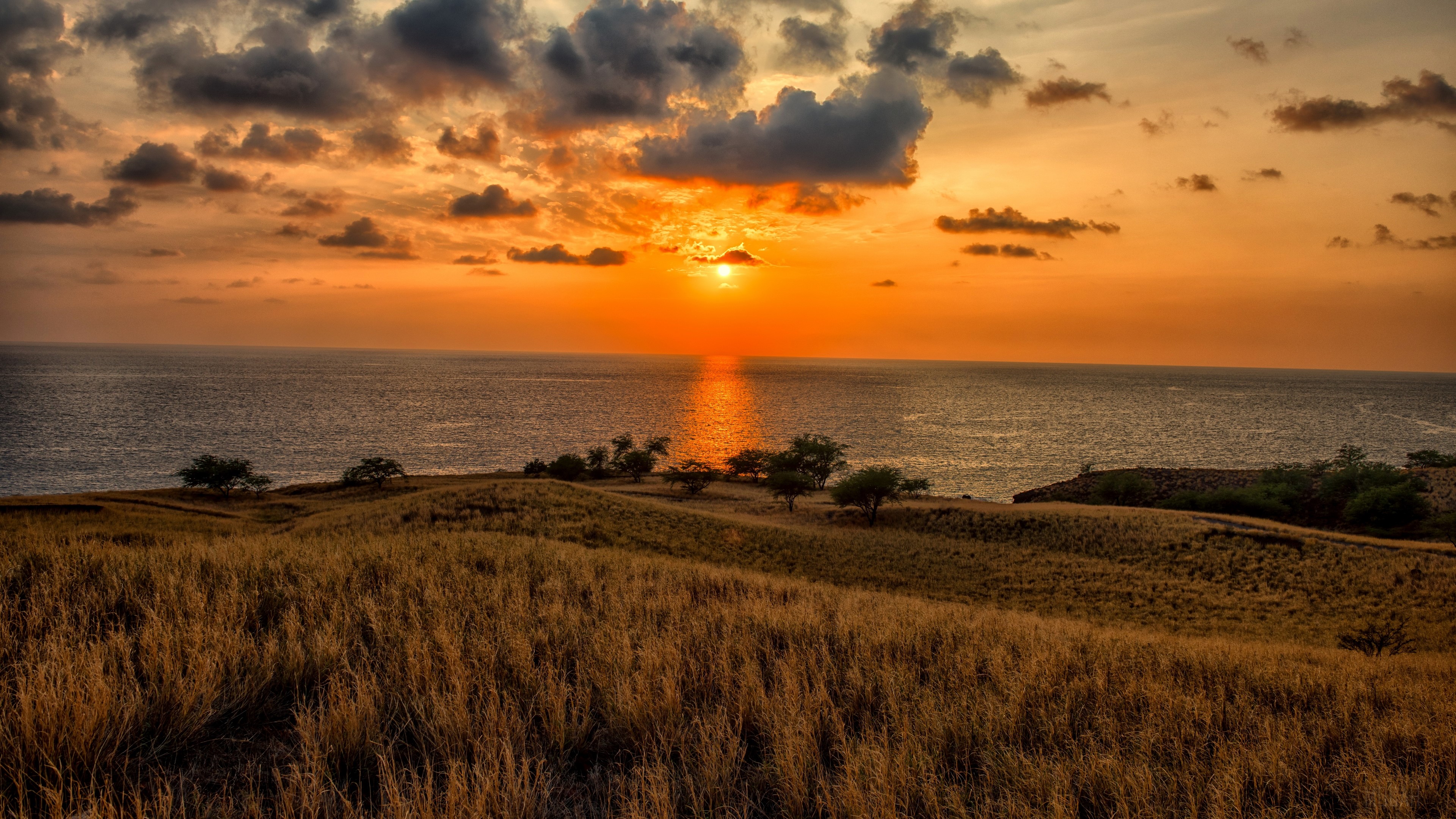 Sunset over the ocean with grassy hills and trees HD Wallpaper