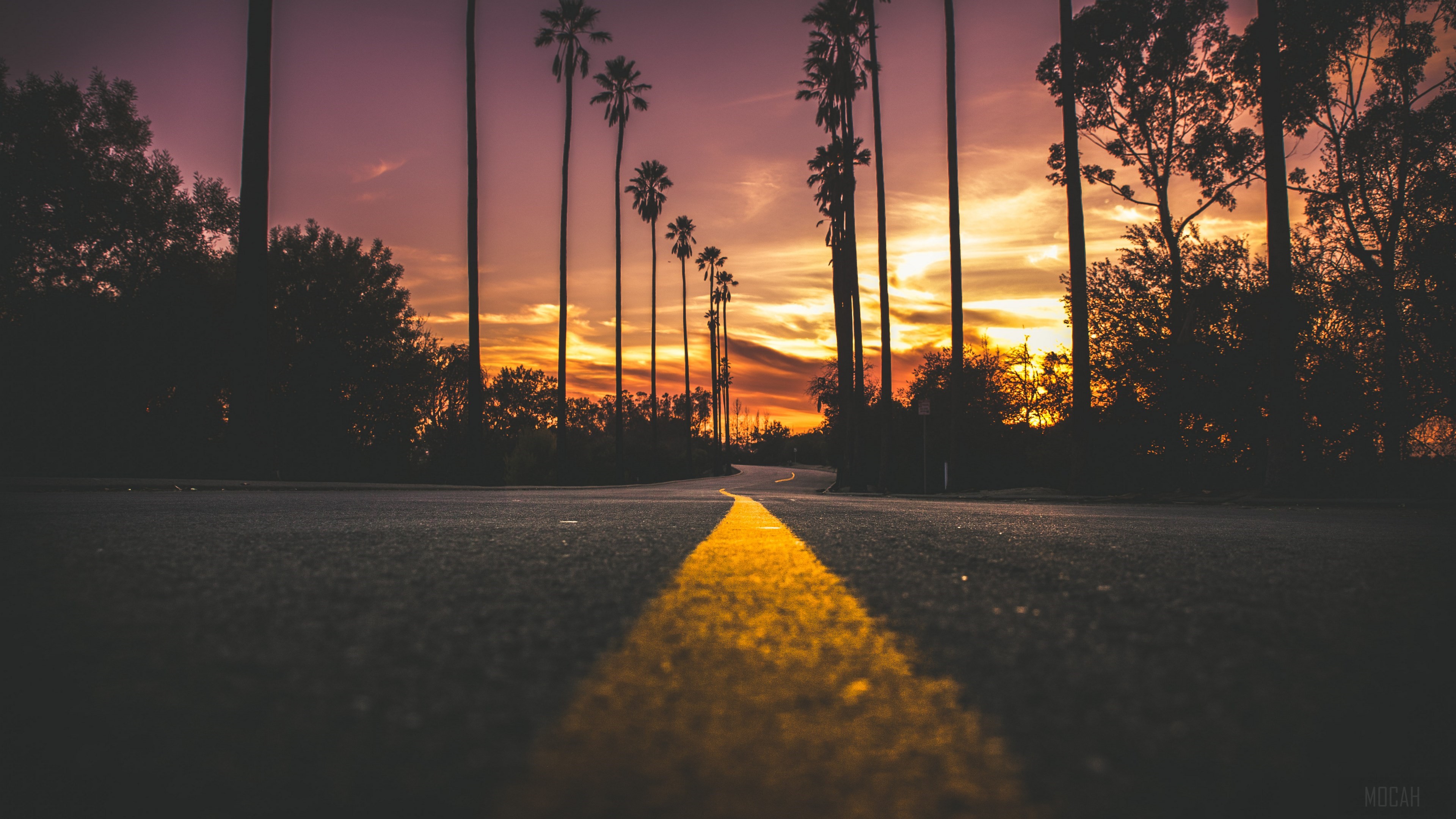 Road lined with palm trees at sunset 4K HD Wallpaper