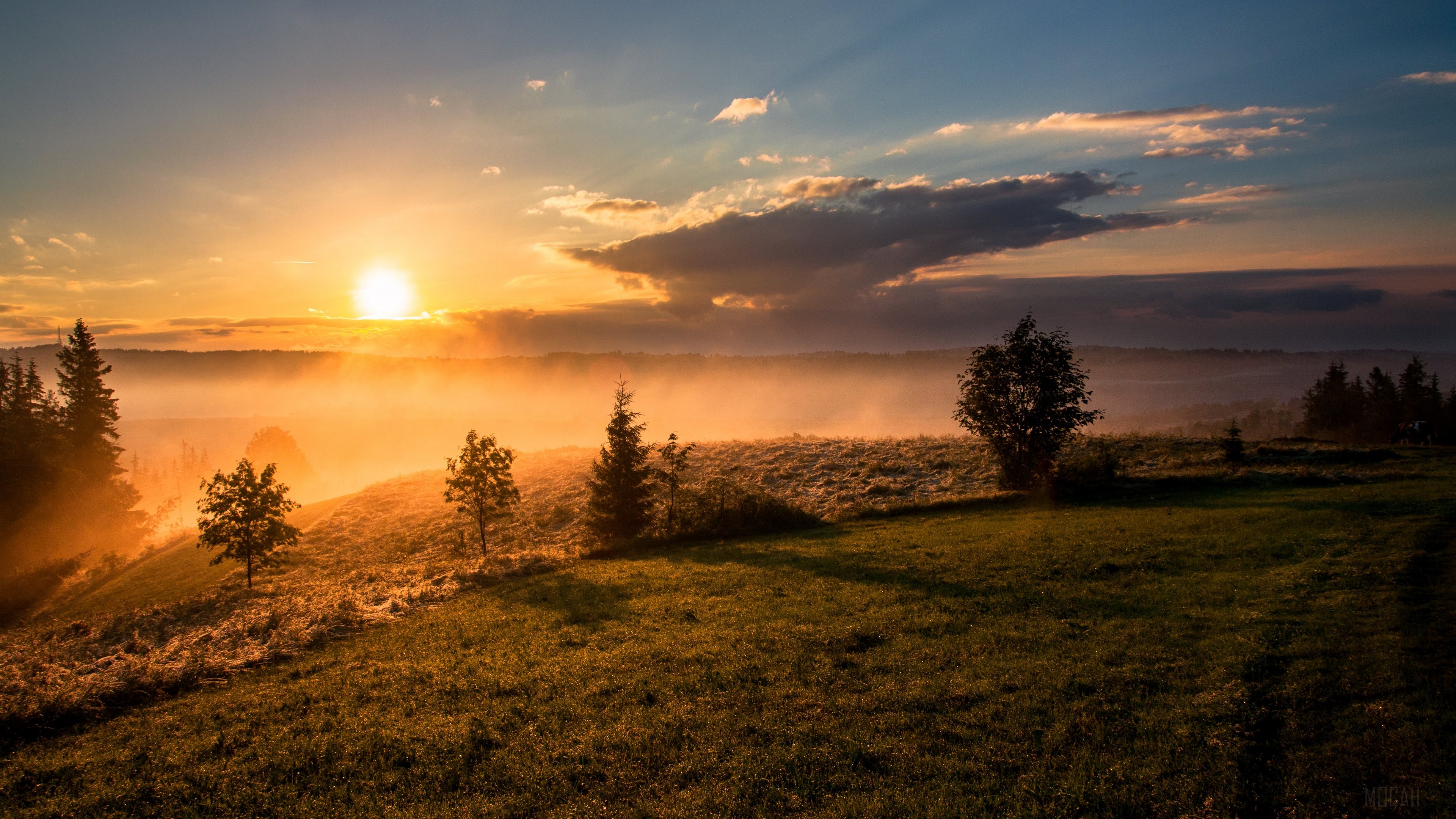 Sunrise over a misty landscape with trees HD Wallpaper