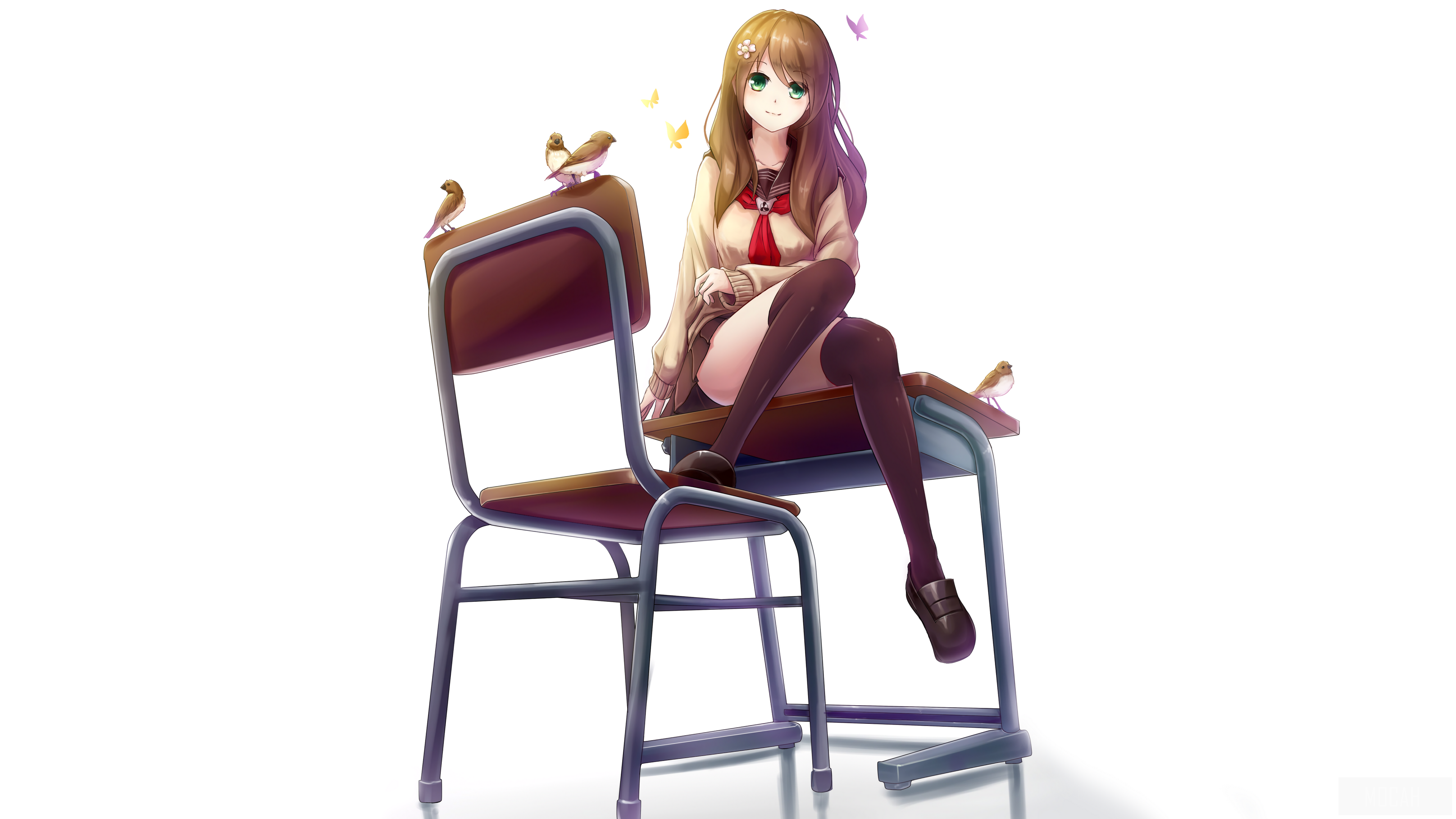 Anime girl sitting on a school desk with birds HD Wallpaper