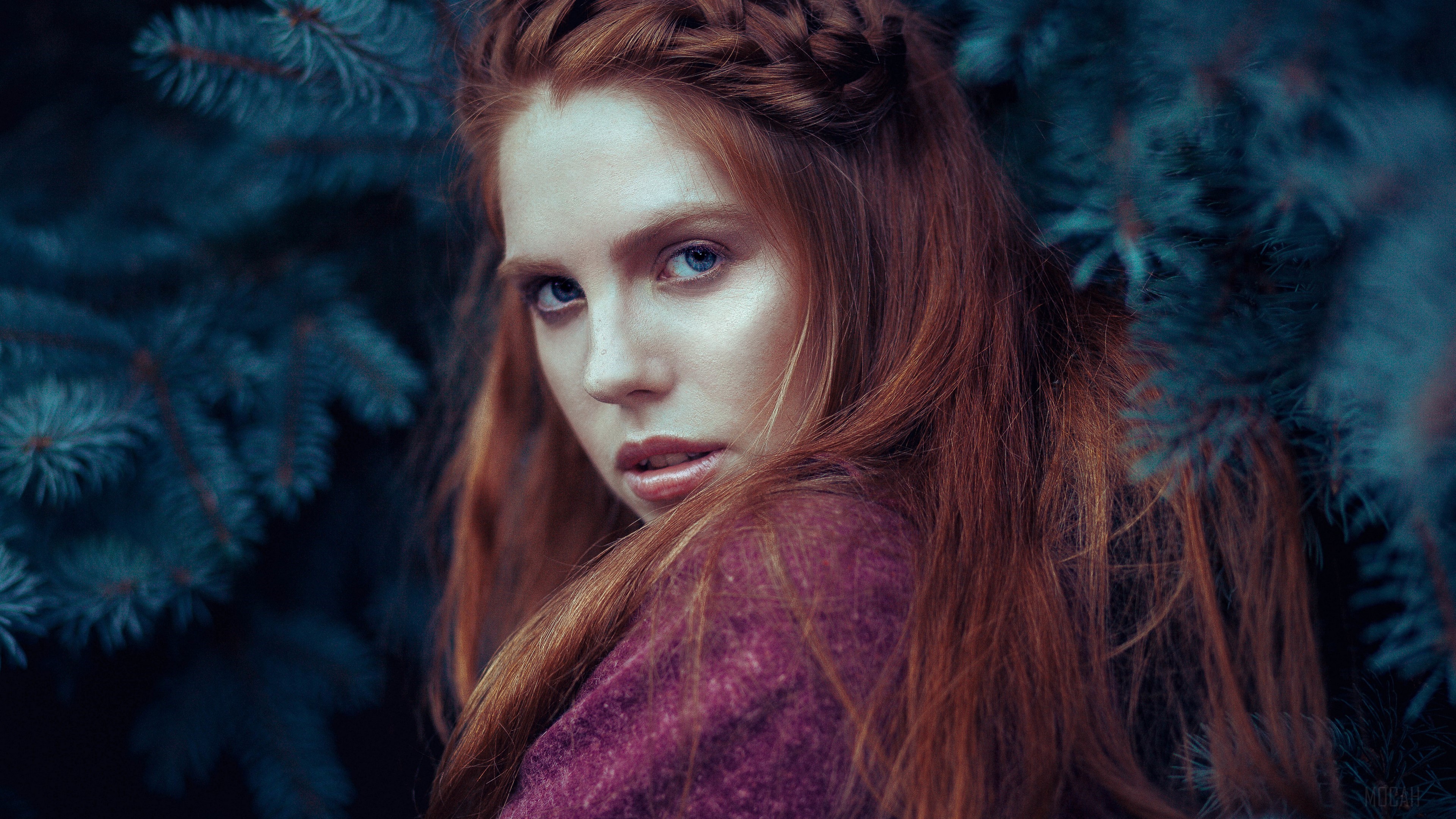 Redhead woman with blue eyes in purple outfit near pine tree HD Wallpaper