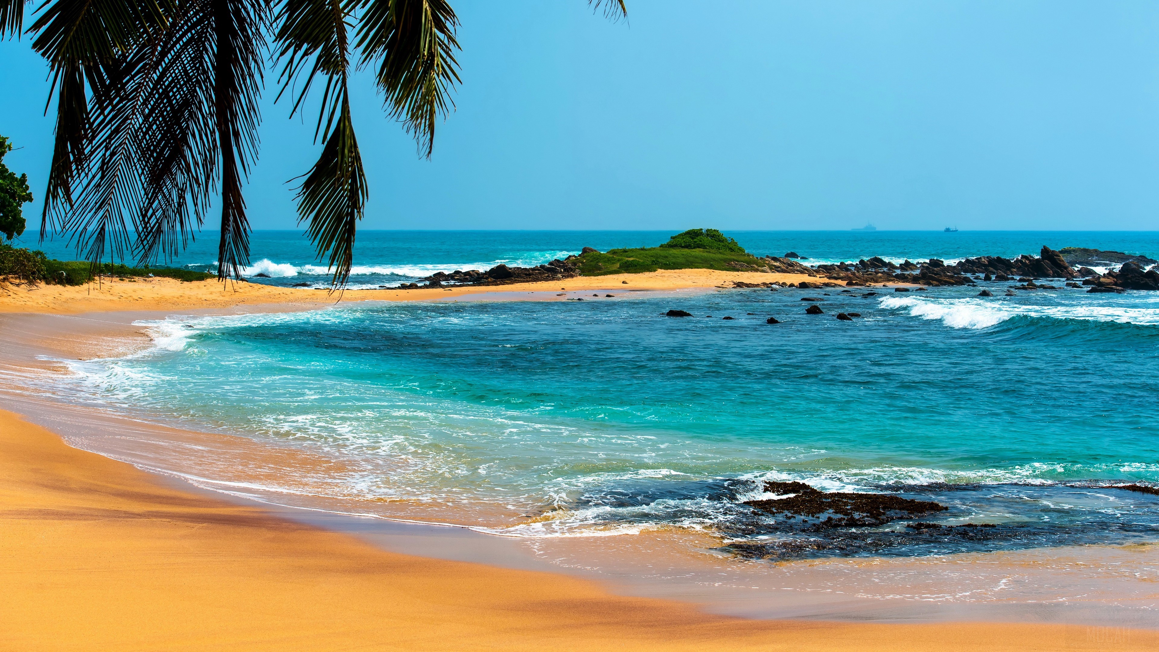 Tropical Beach with Palm Trees and Ocean Waves 4K HD Wallpaper