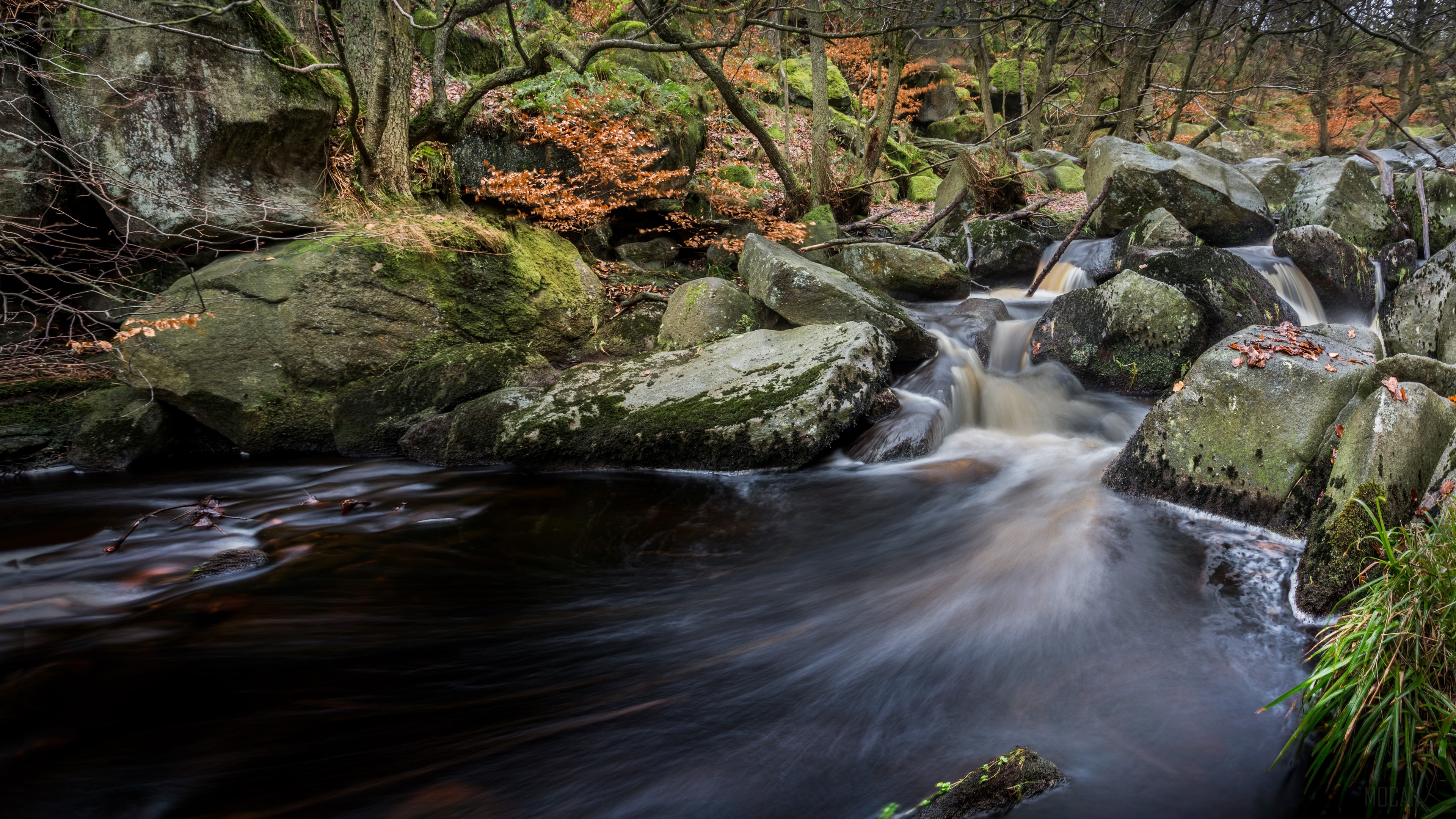 Forest Stream with Rocks 4K HD Wallpaper