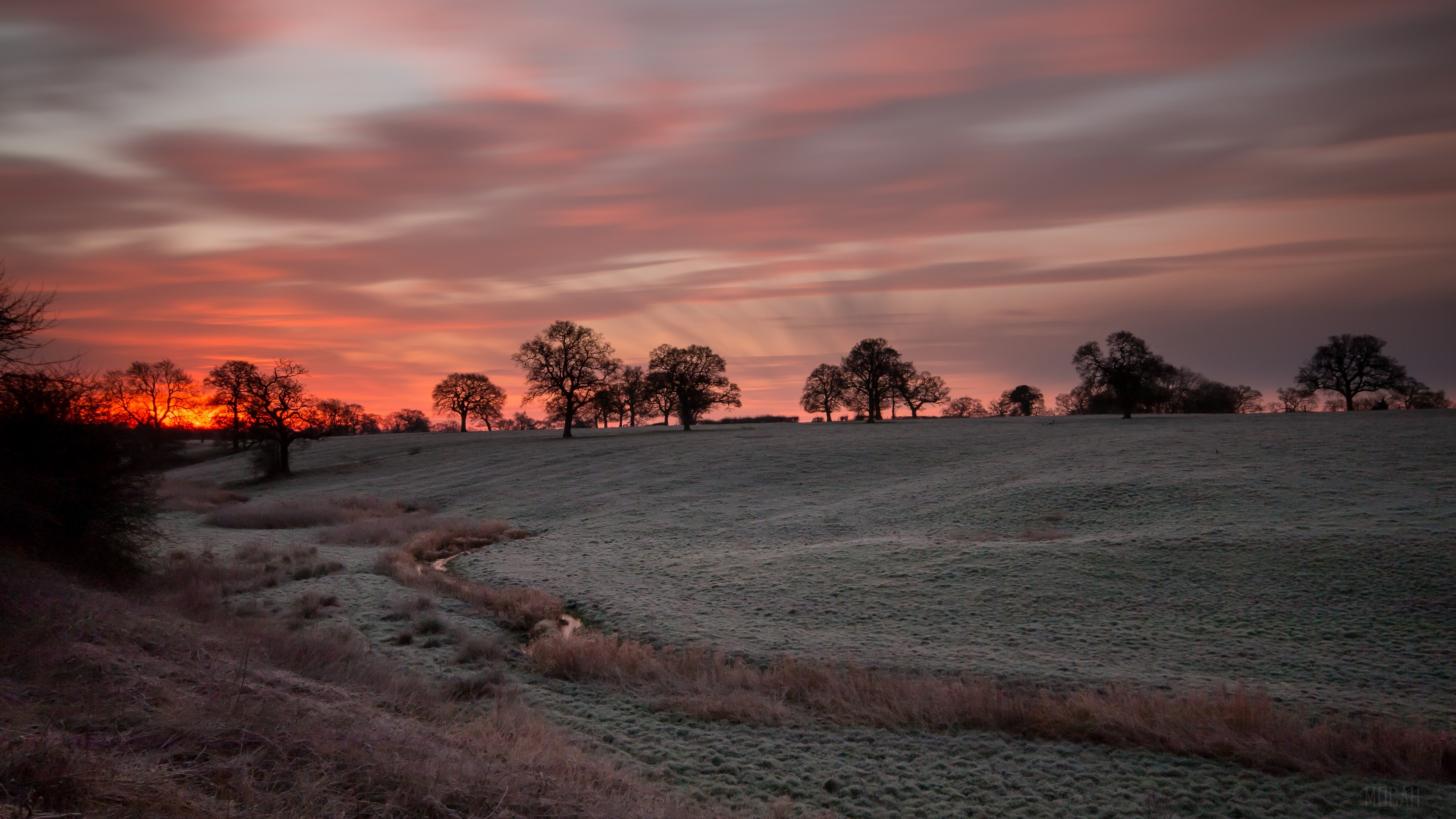 Sunrise over a frosty field with trees HD Wallpaper