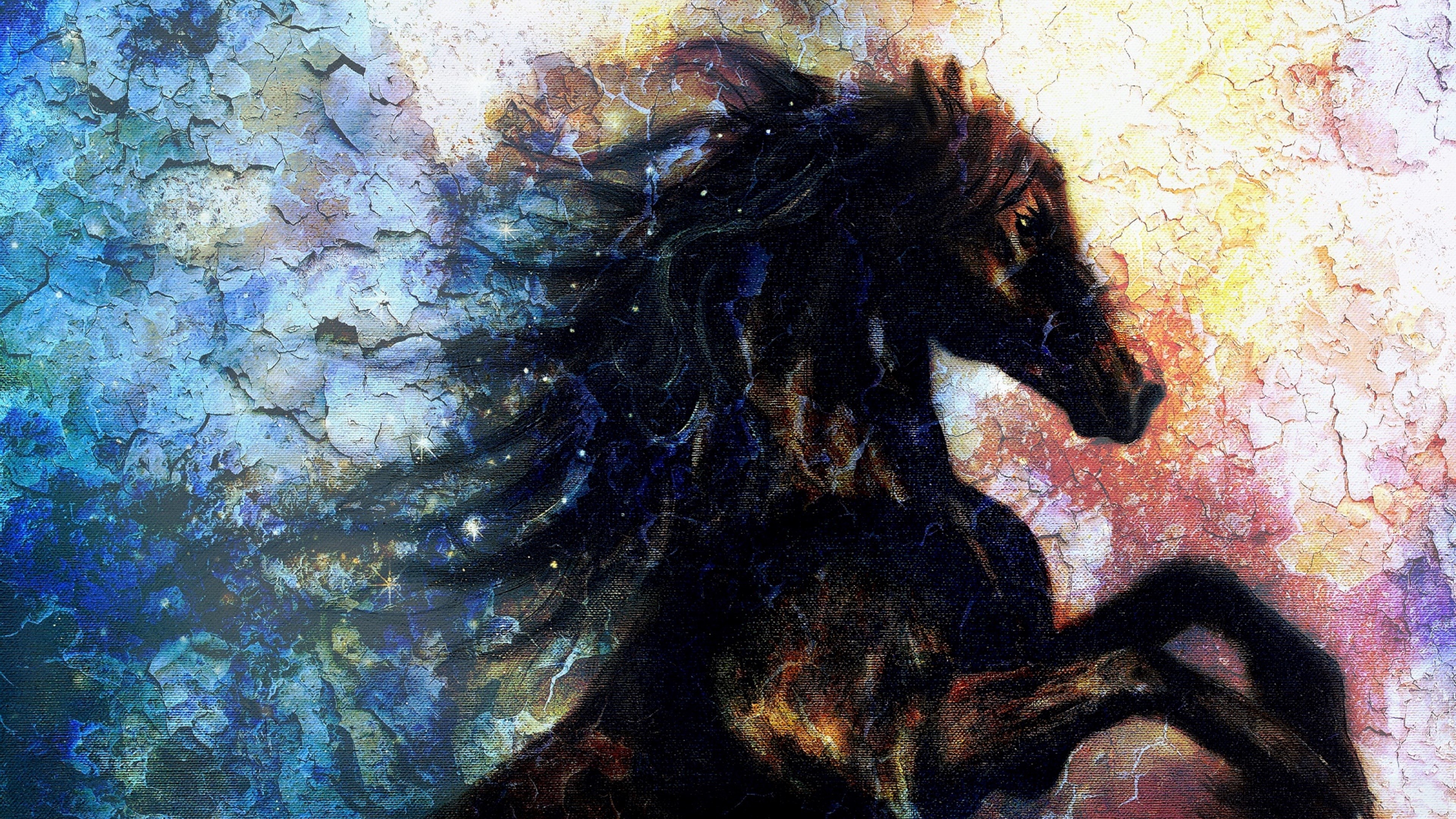 Black horse with abstract background 4K HD Wallpaper