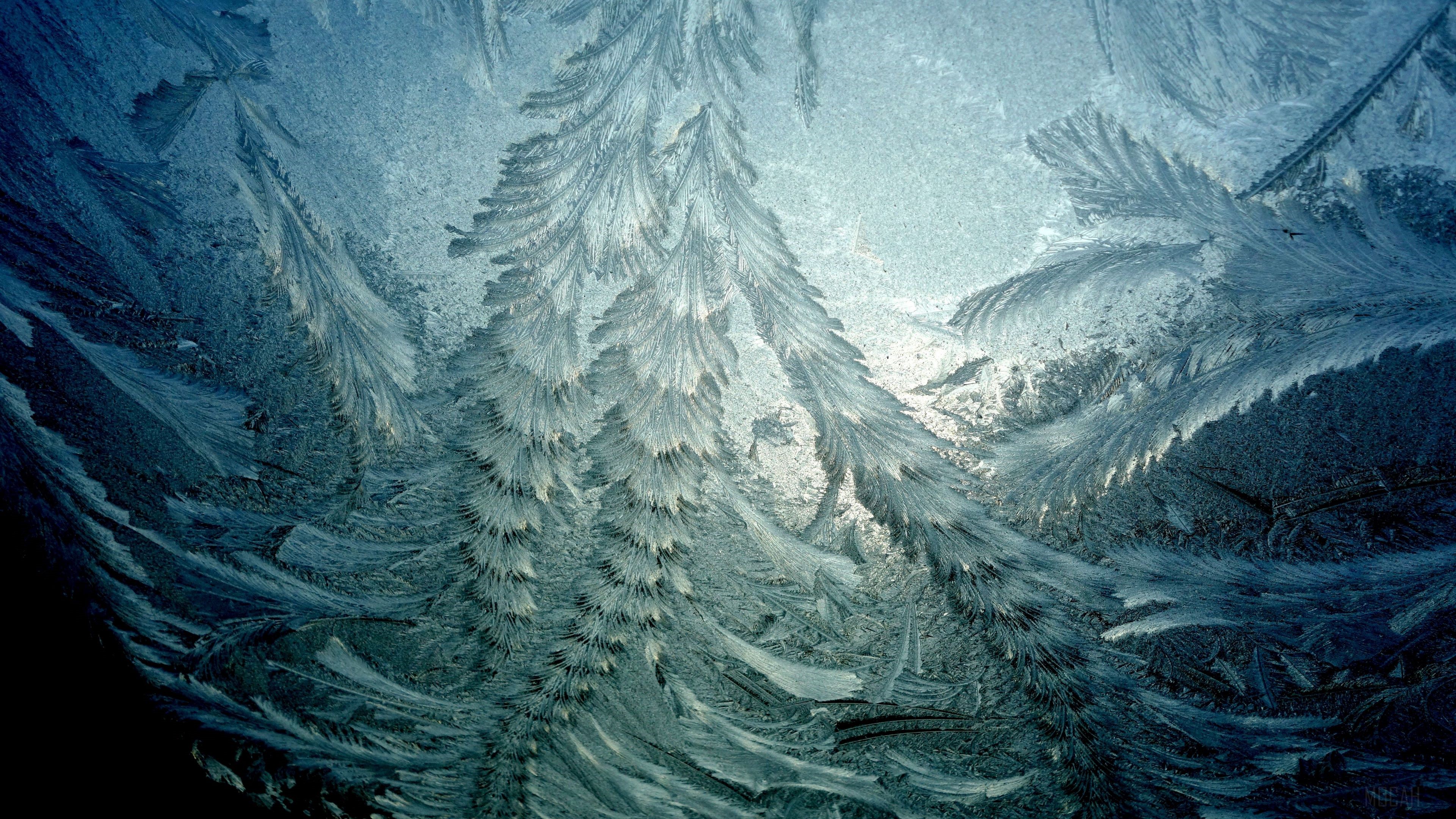 Ice formations on a window in winter 4K HD Wallpaper