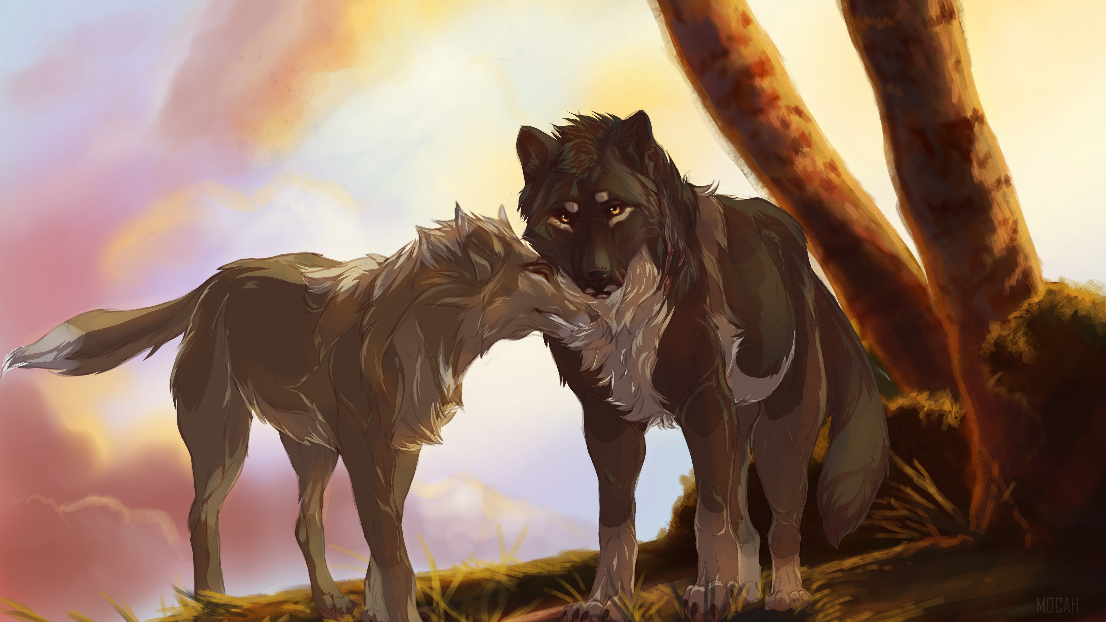 Two wolves in a forest at sunset HD Wallpaper