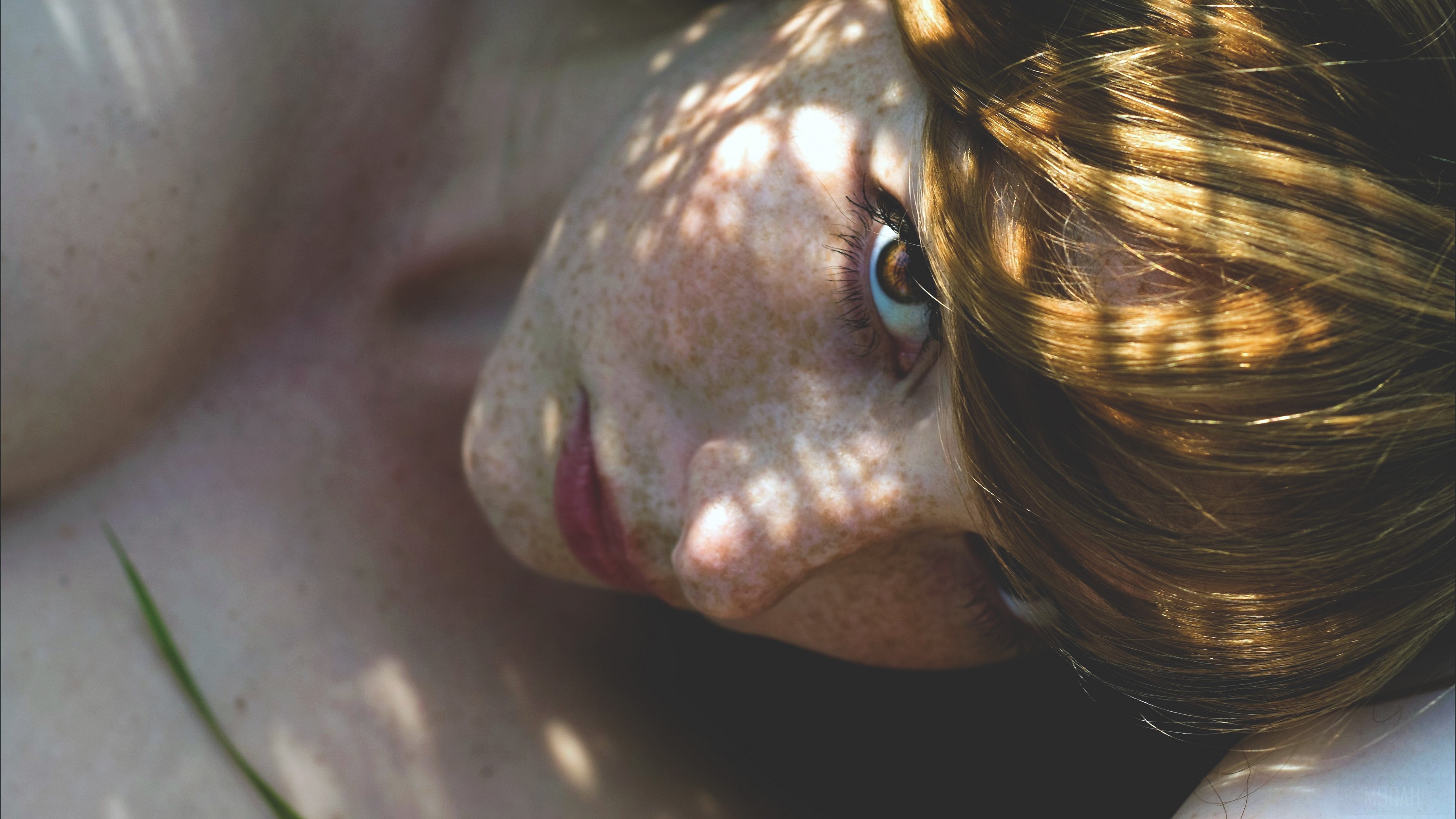 Woman with Freckles and Brown Eyes HD Wallpaper