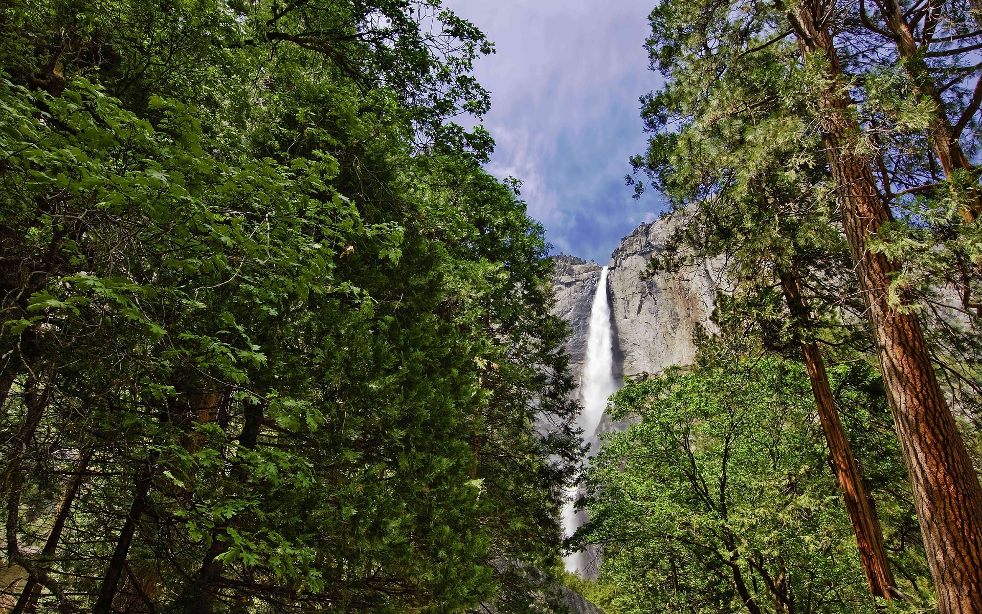 Waterfall cascading down a rocky cliff face, framed by trees HD Wallpaper