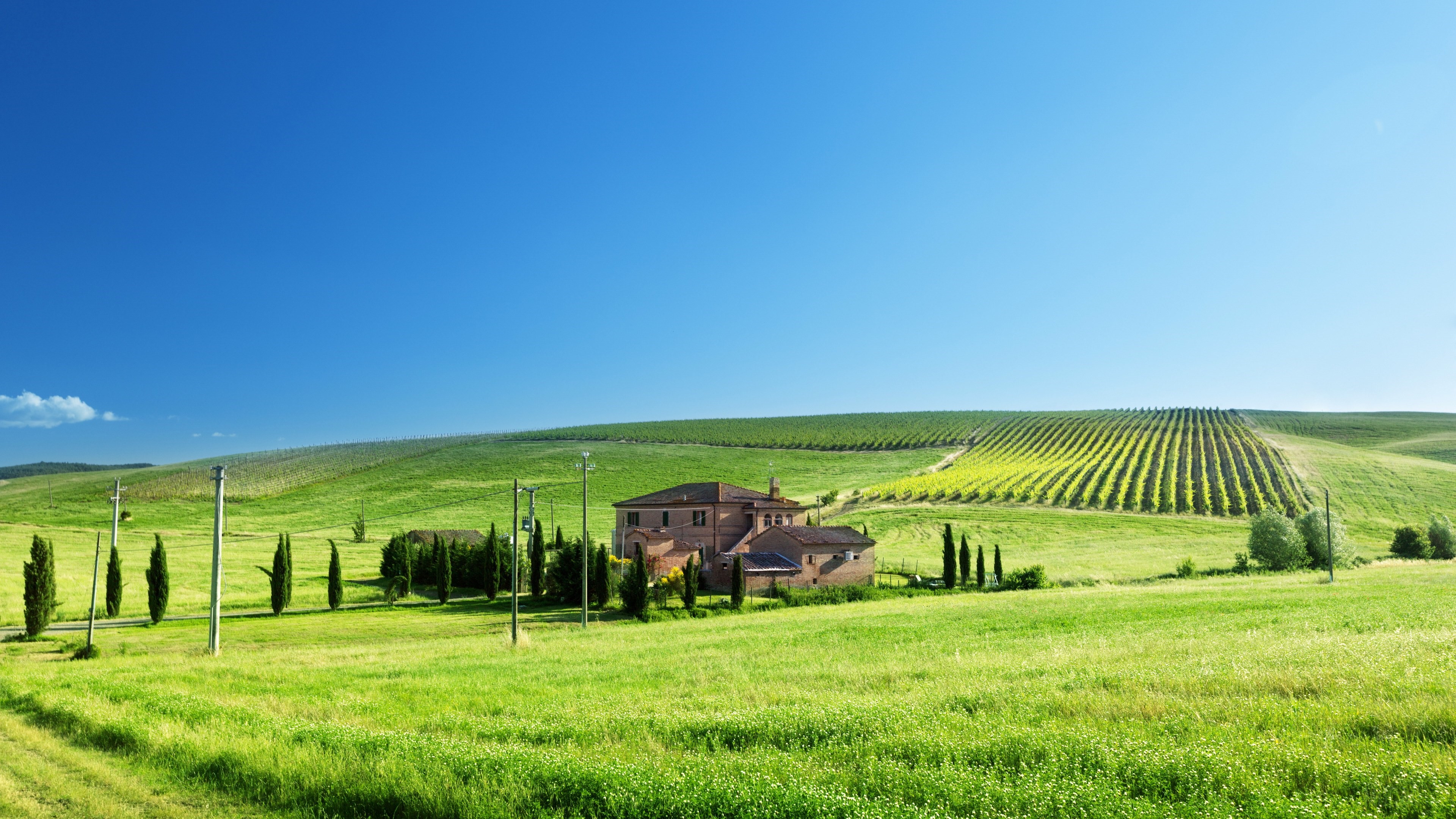 Tuscan Villa with Vineyards HD Wallpaper