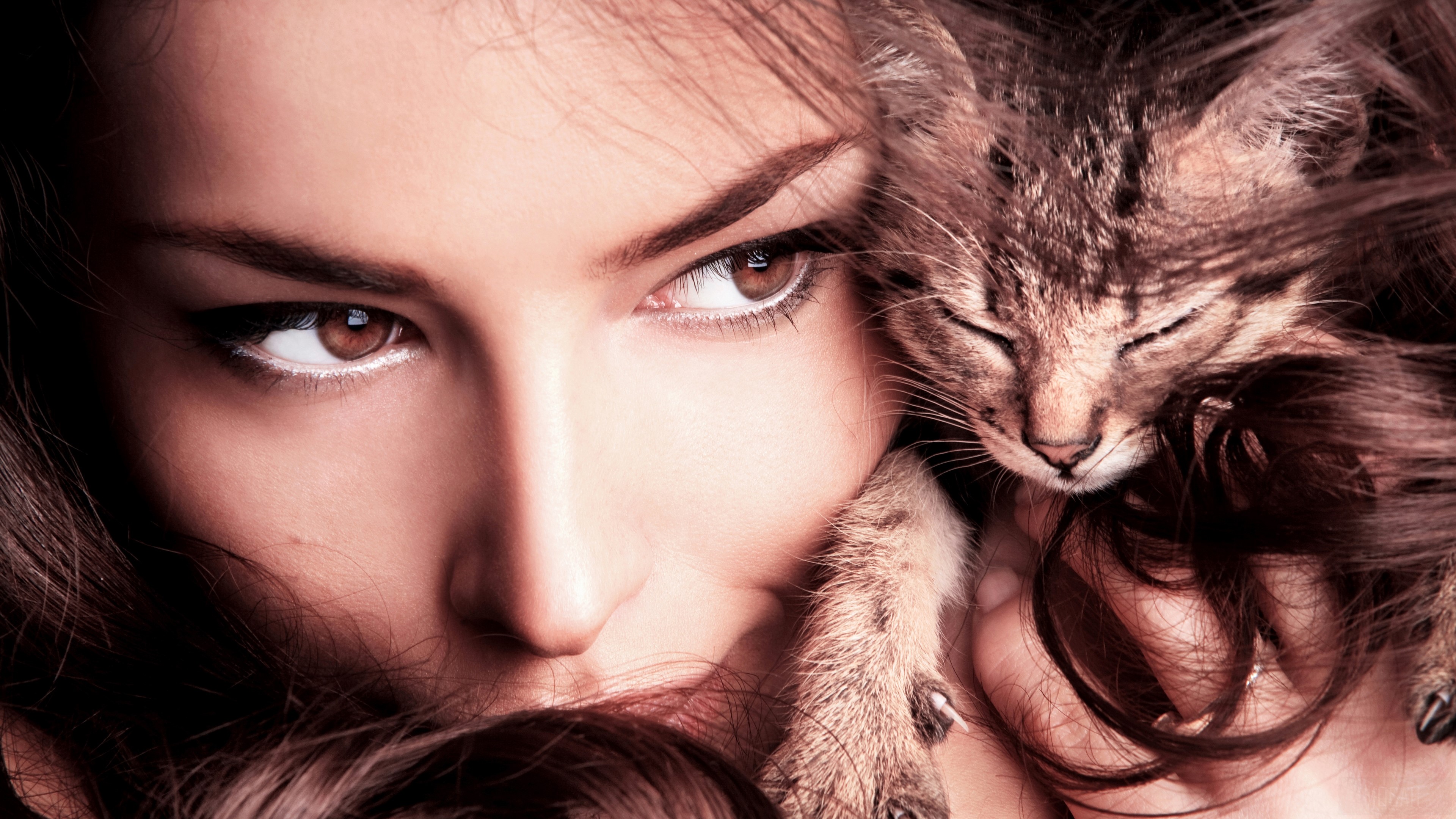 Woman with a kitten HD Wallpaper