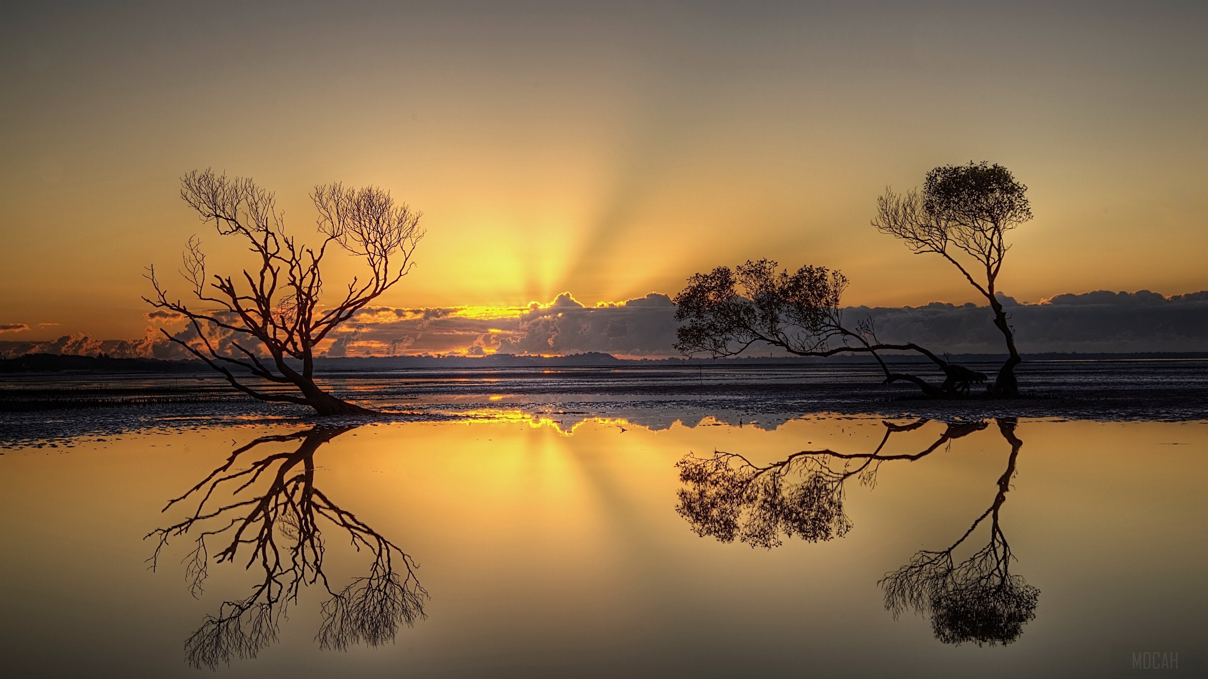 Trees reflected in water at sunset HD Wallpaper