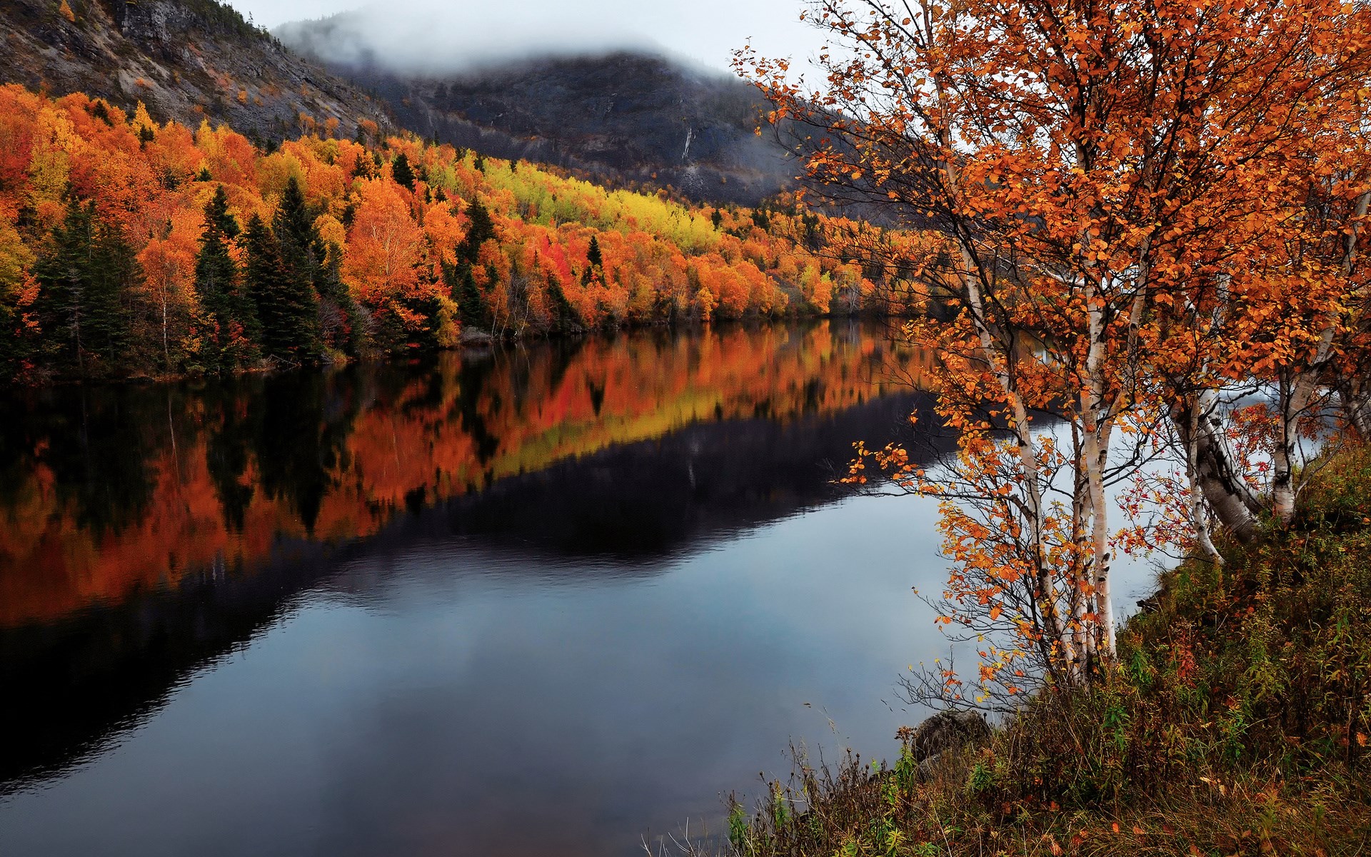 Autumn trees reflected in a calm lake HD Wallpaper