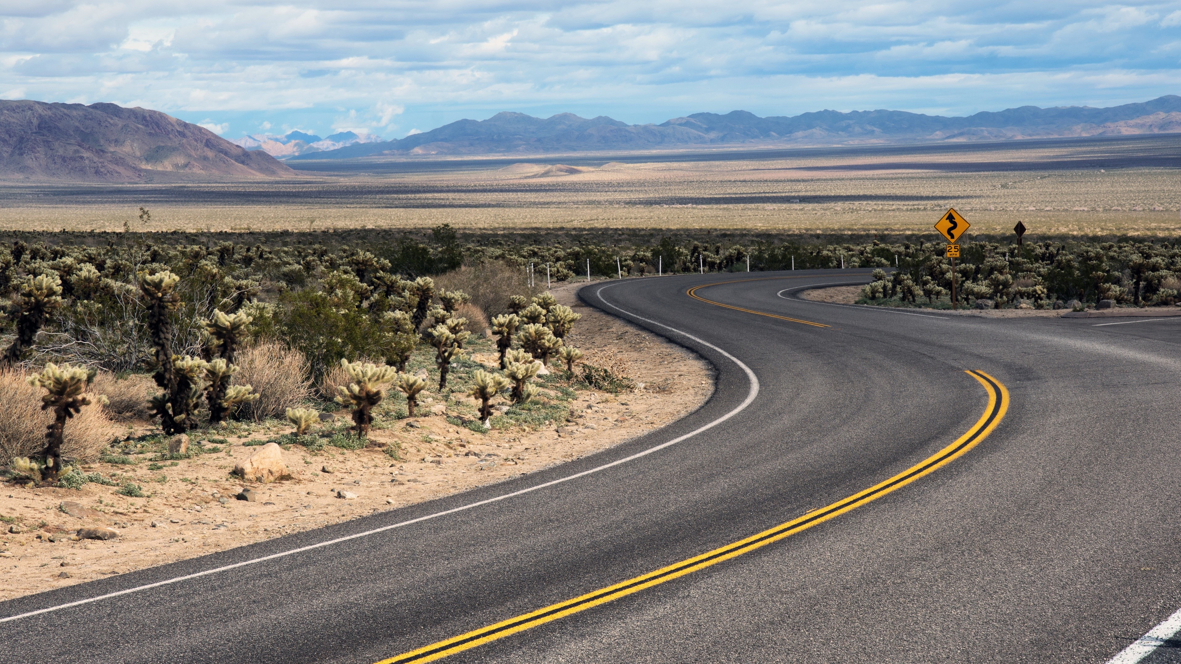 Desert Road with Cholla Cactus and Mountains 4K HD Wallpaper
