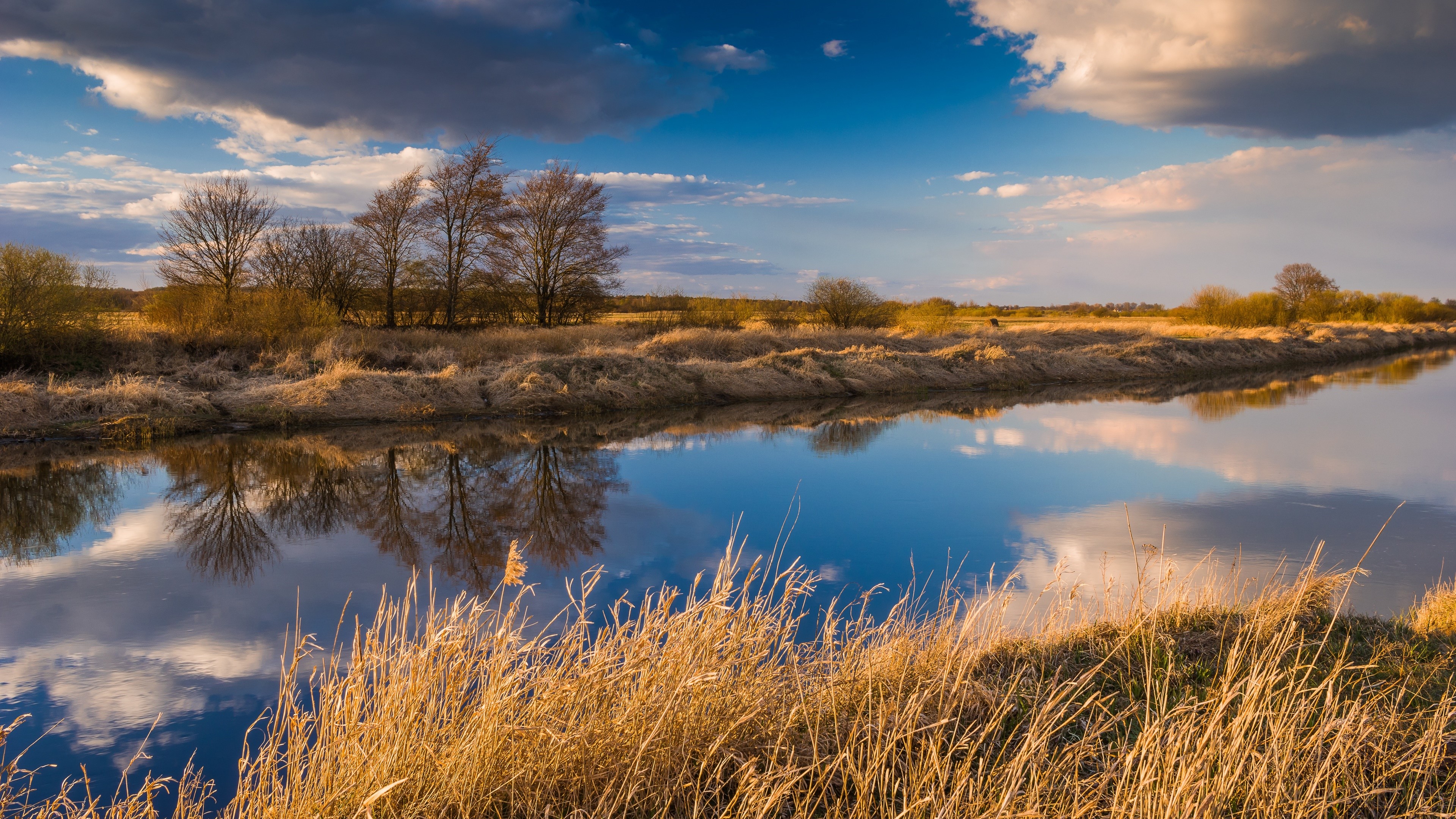 River reflecting trees and clouds under a blue sky HD Wallpaper