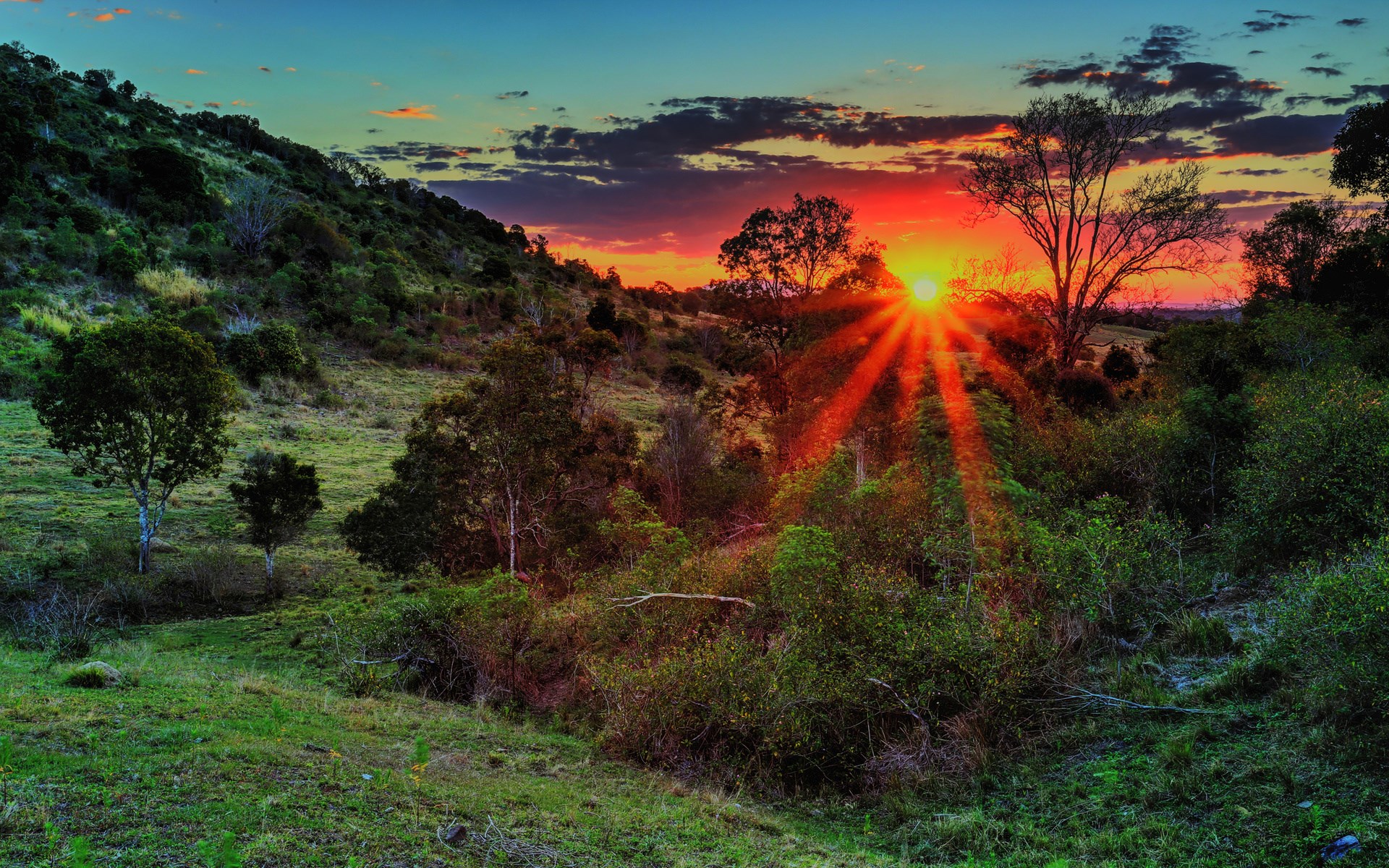 Sunset over a hilly landscape with trees HD Wallpaper