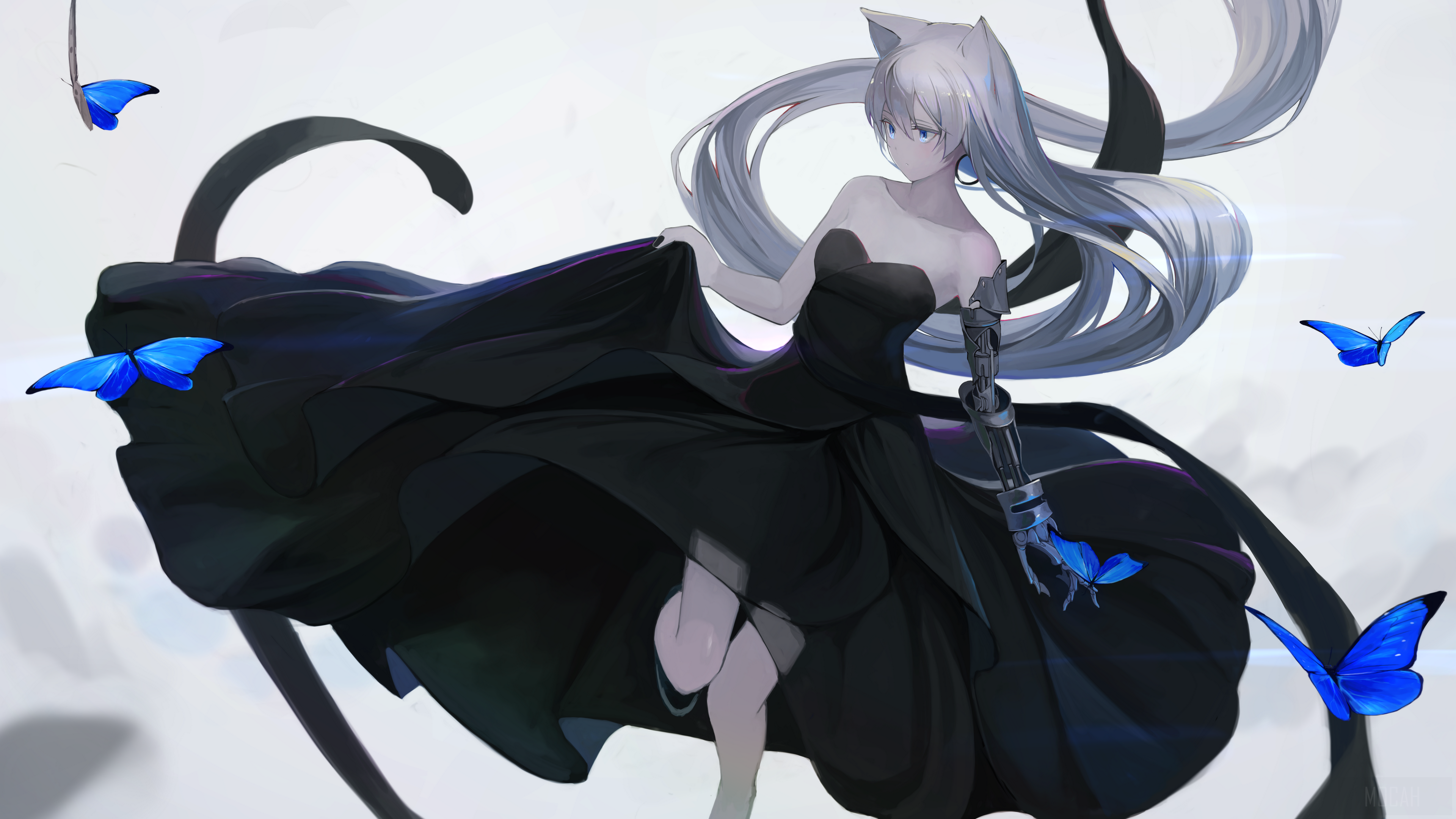 Anime Girl with Cat Ears and Black Dress HD Wallpaper