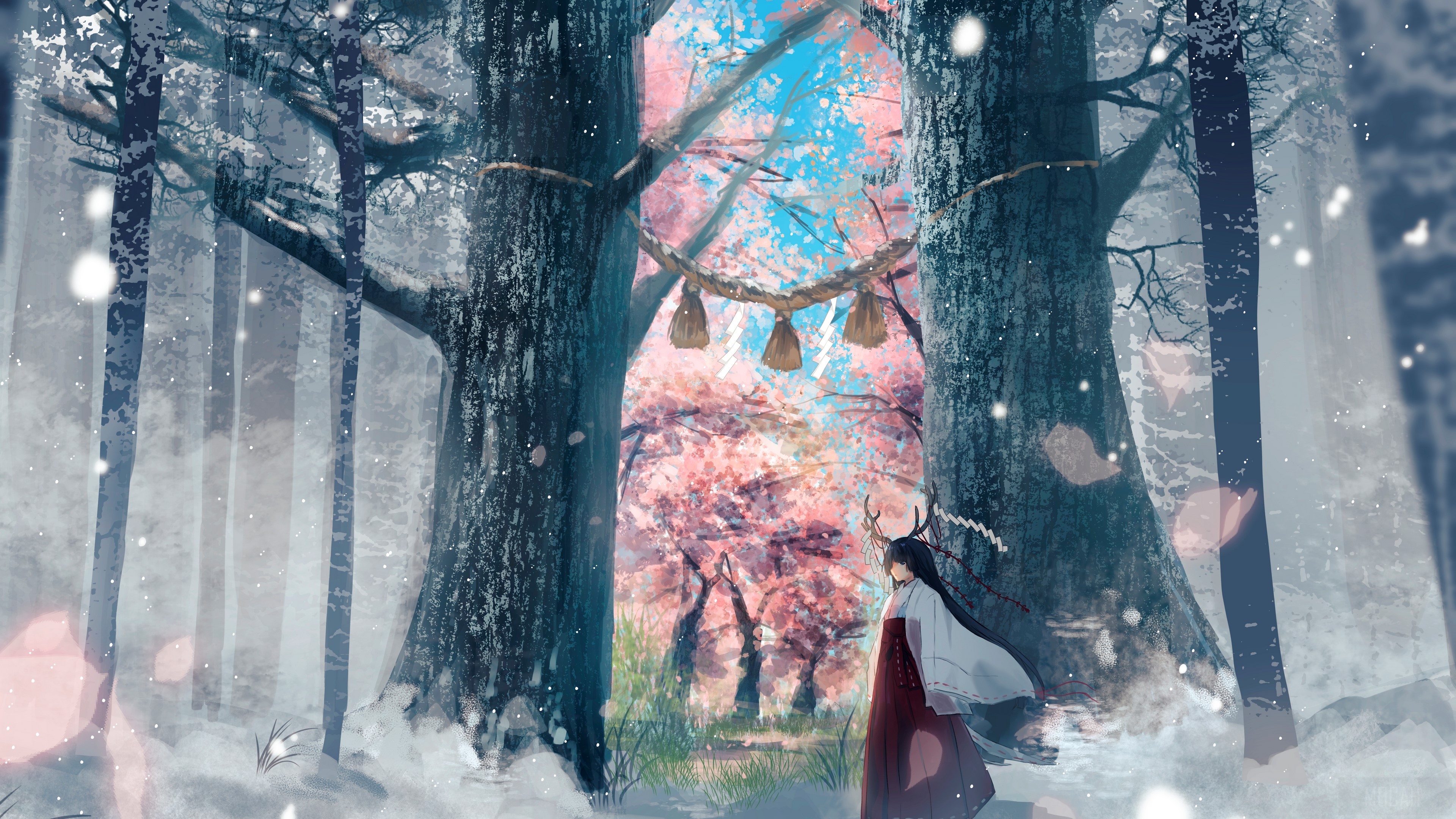 Girl with Black Hair in Snowy Forest with Cherry Blossoms HD Wallpaper