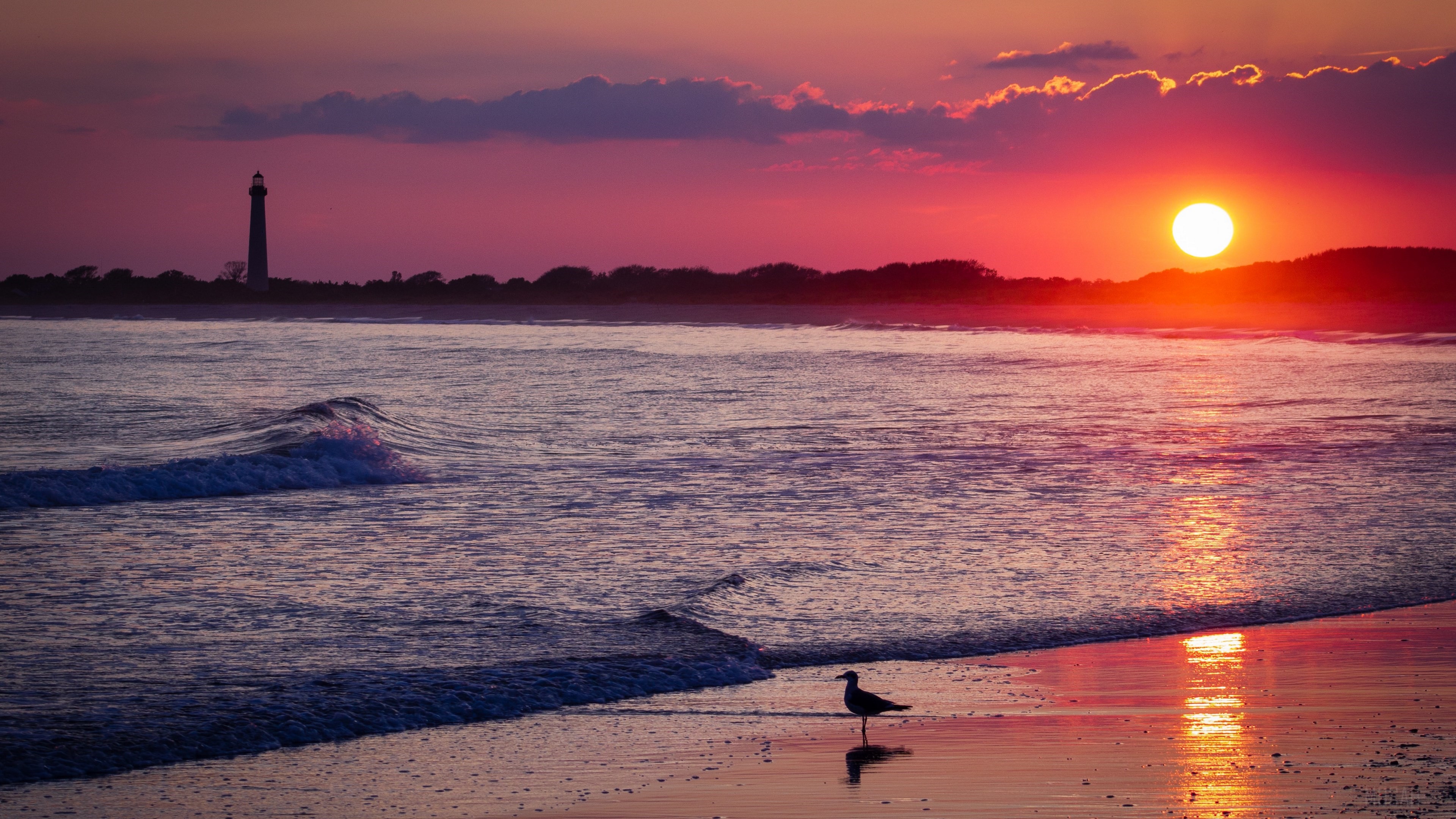 Seagull on Beach at Sunset with Lighthouse HD Wallpaper