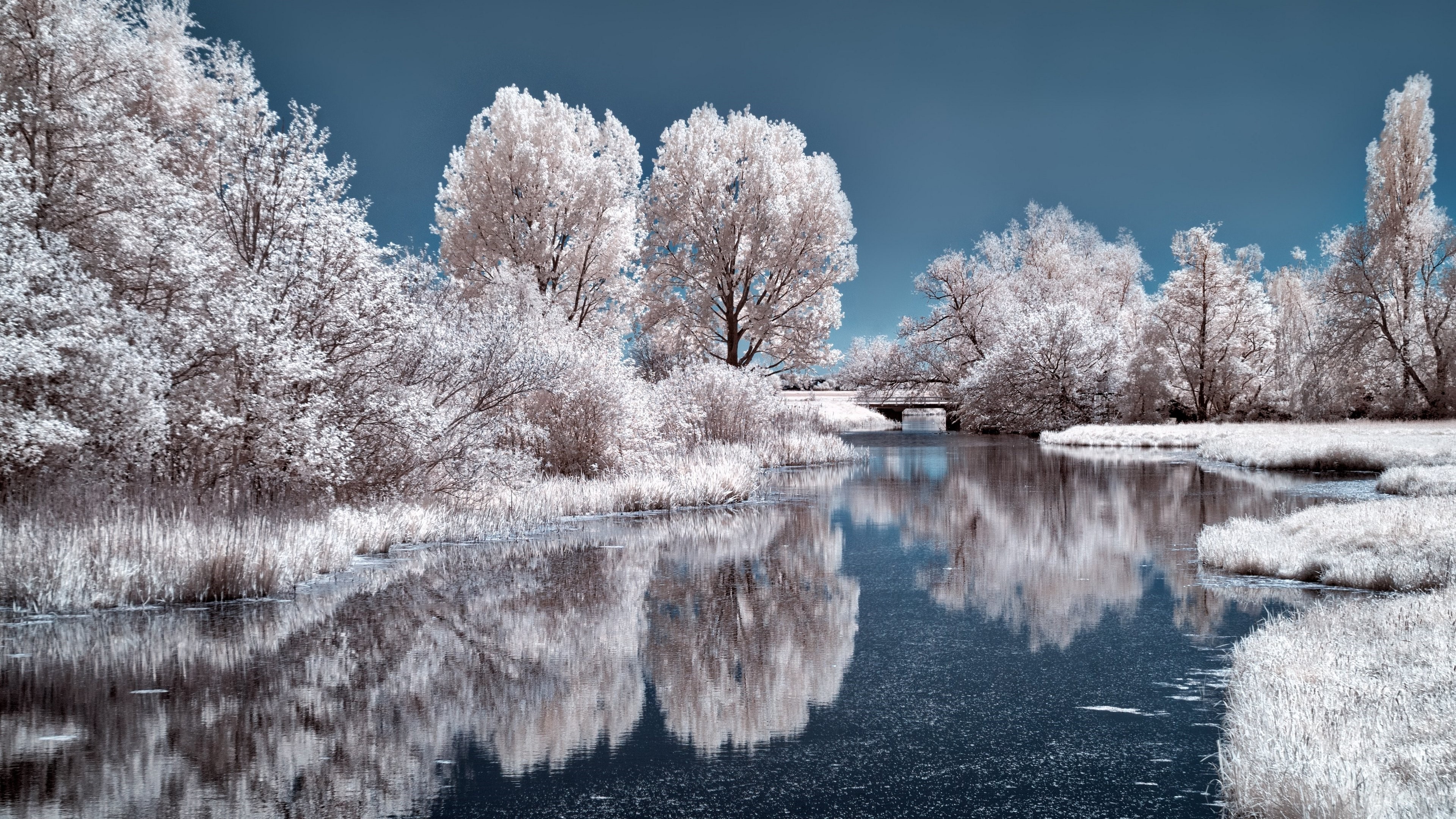 Winter landscape with river and trees 4K HD Wallpaper