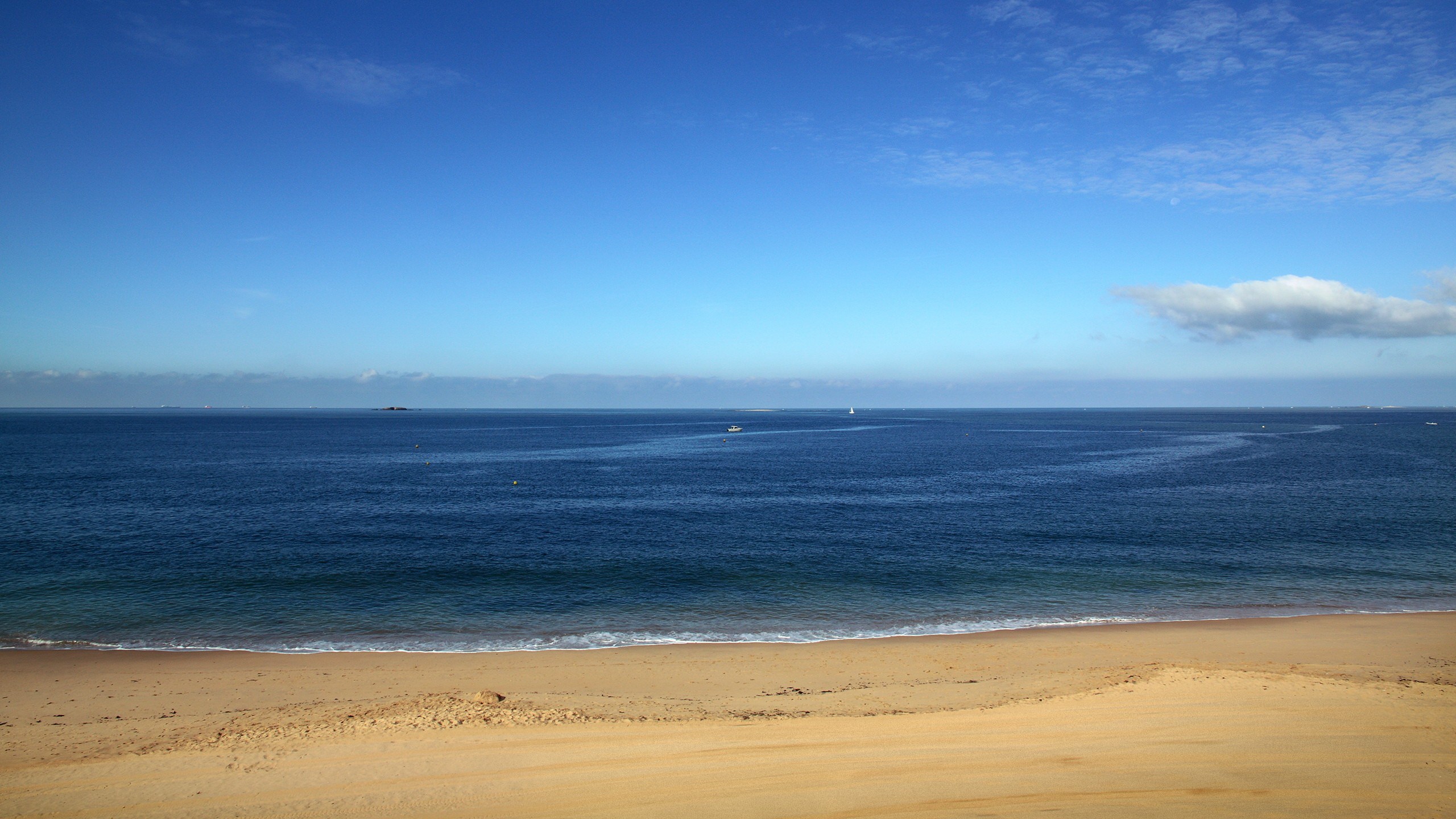 Sandy beach and blue ocean under a clear sky HD Wallpaper