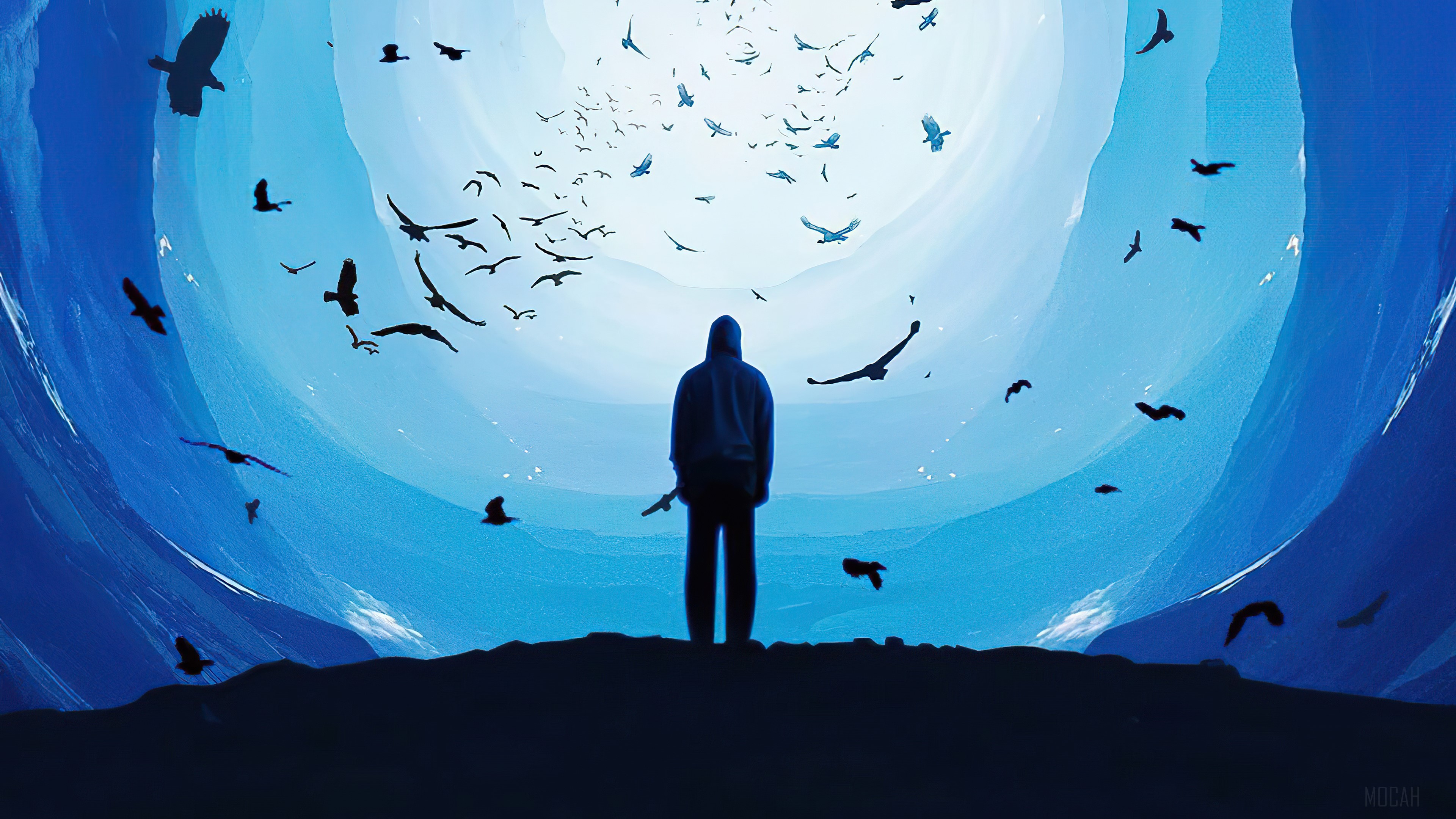 Treasure You Seek HD Wallpaper