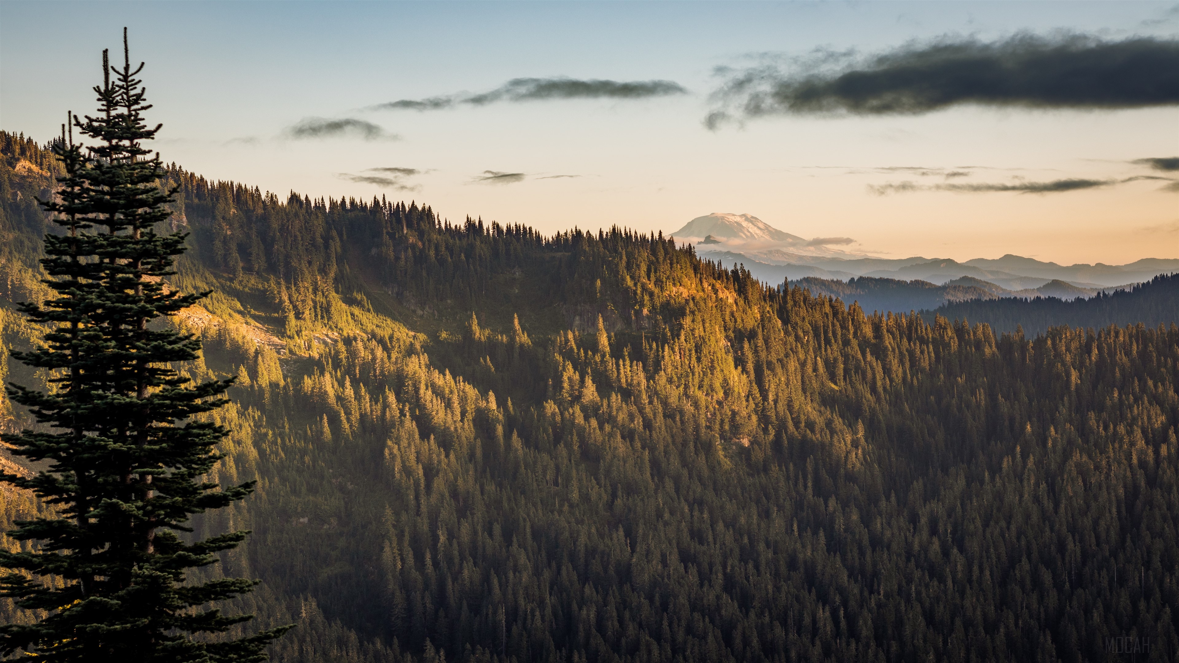 Mt. Adams View From The Distance 4K HD Wallpaper