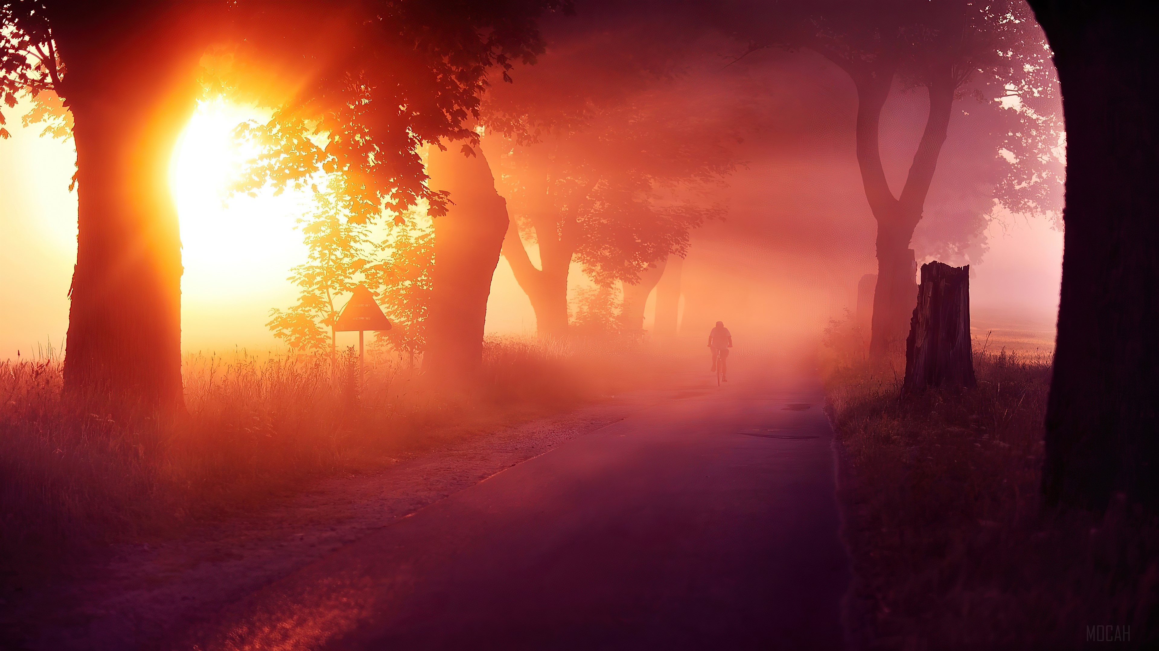 Sun Rays Mist Road HD Wallpaper