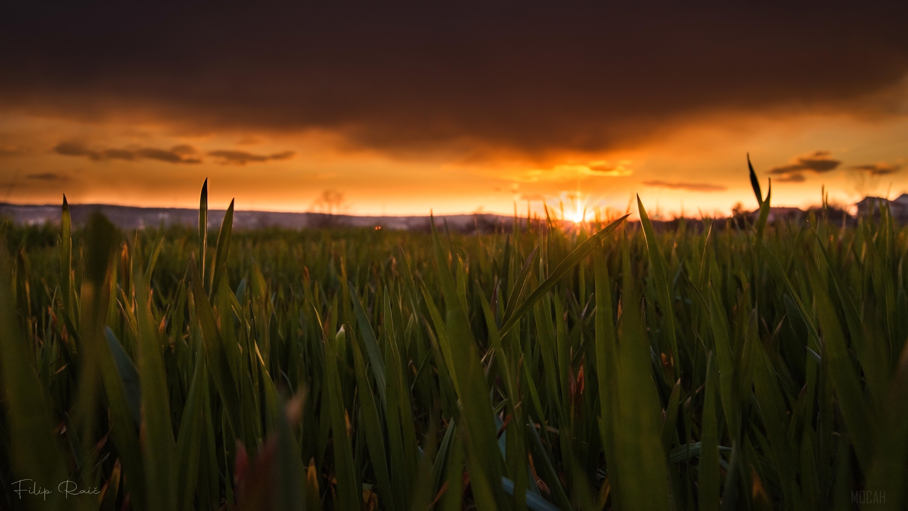 Sunset over Herzegovina Fields 4K HD Wallpaper