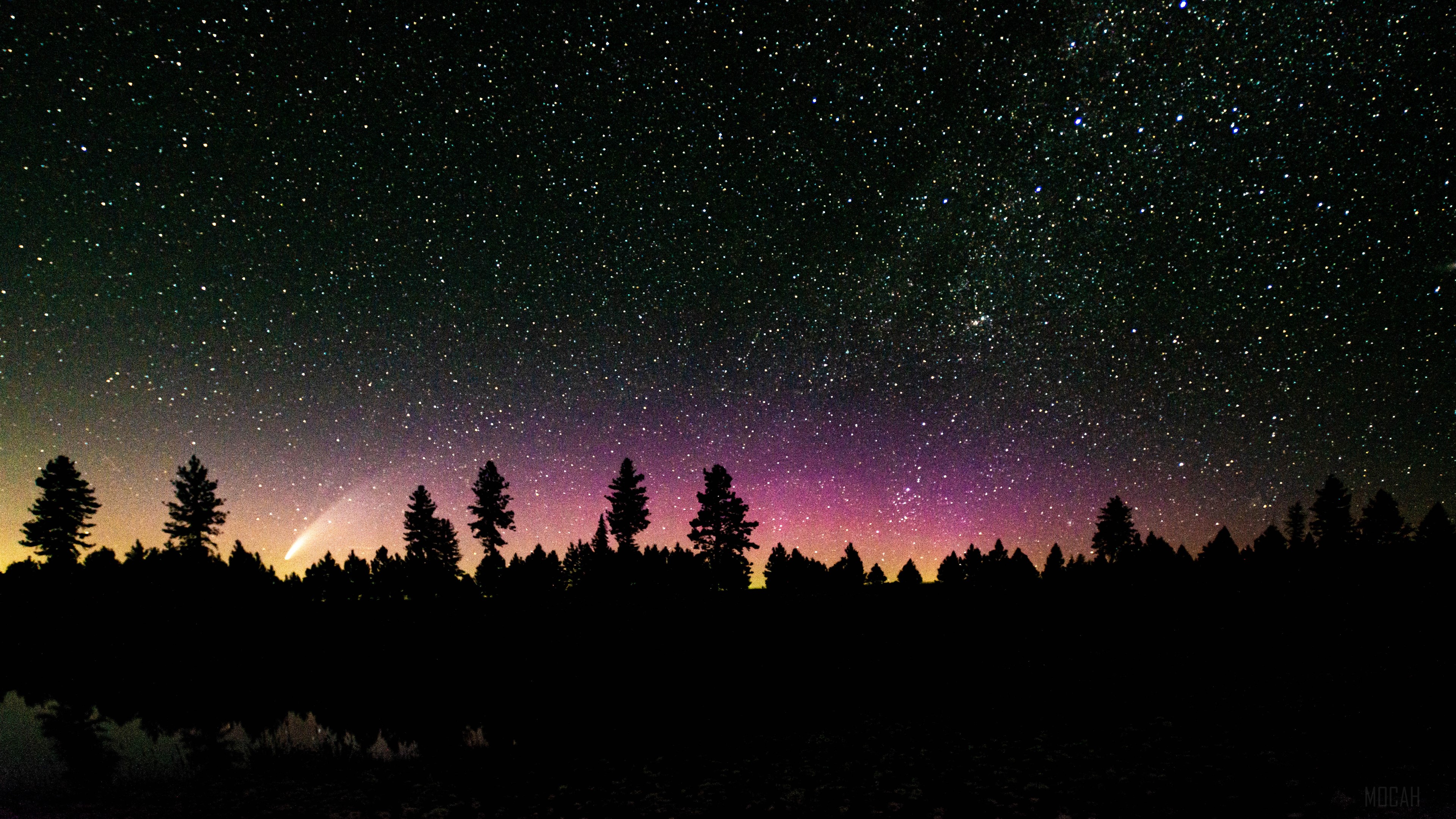 Comet over pine forest at night 4K HD Wallpaper