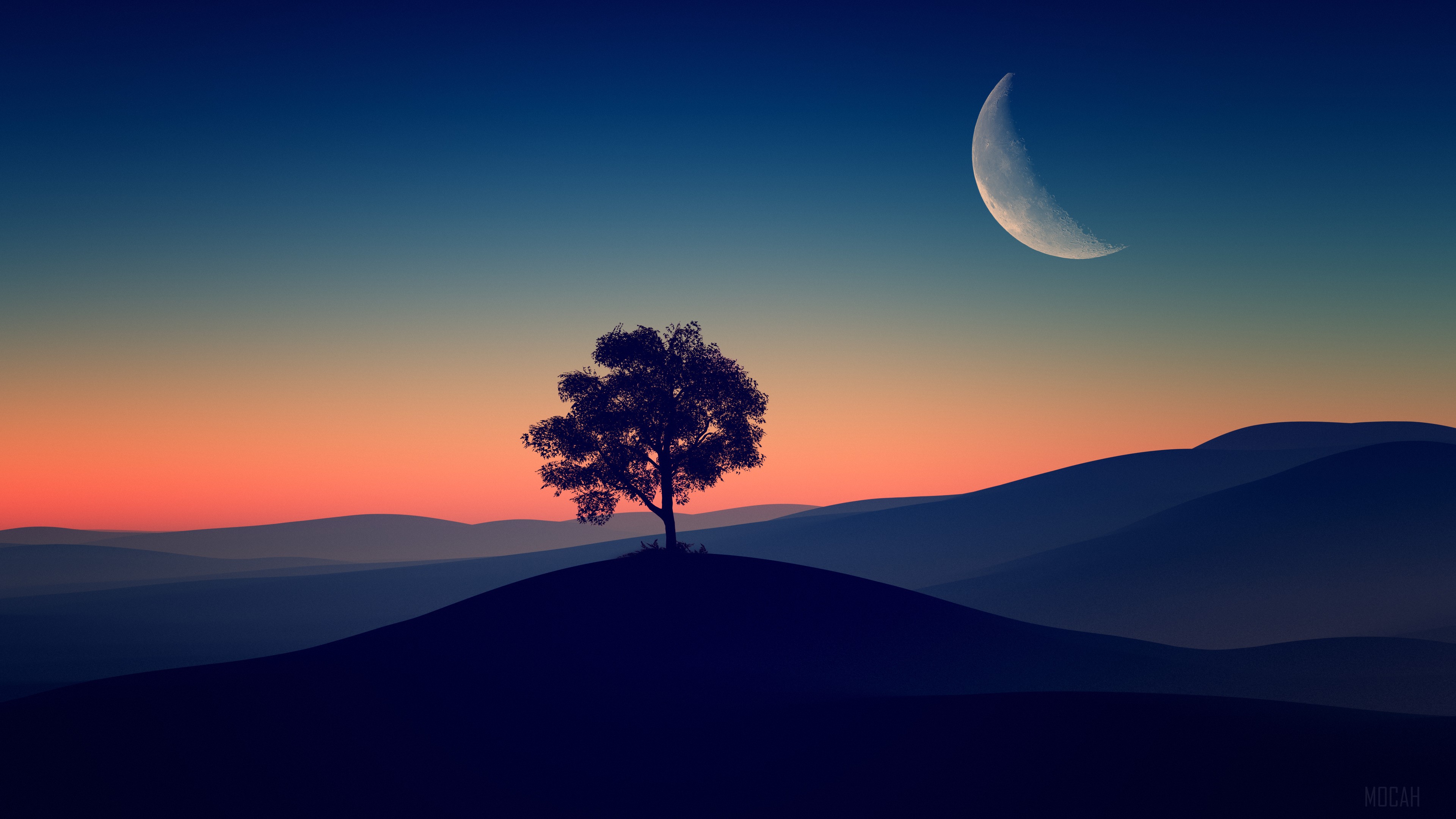 Lone tree on a hill at dusk with a crescent moon HD Wallpaper